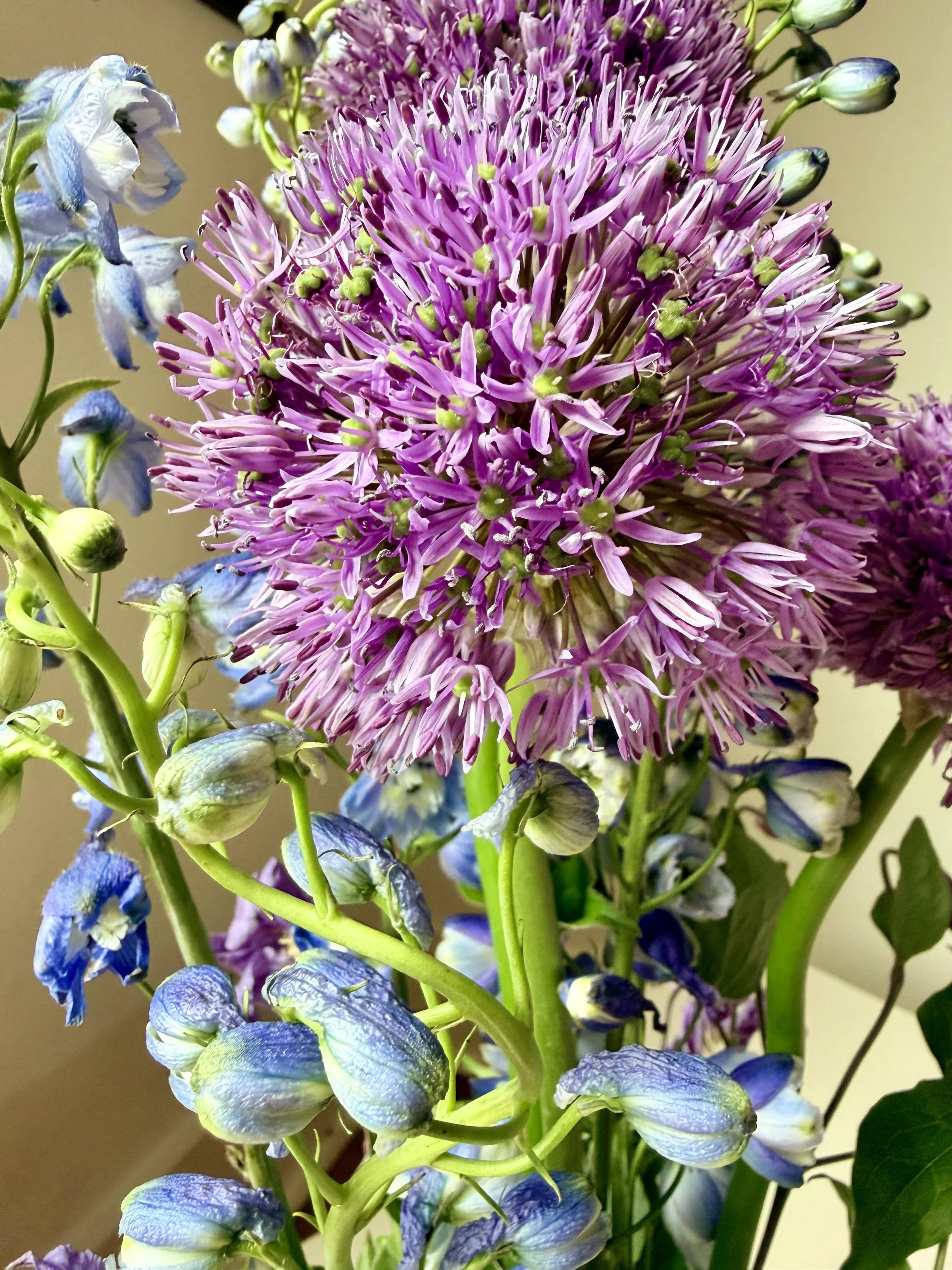 purple 3.jpg