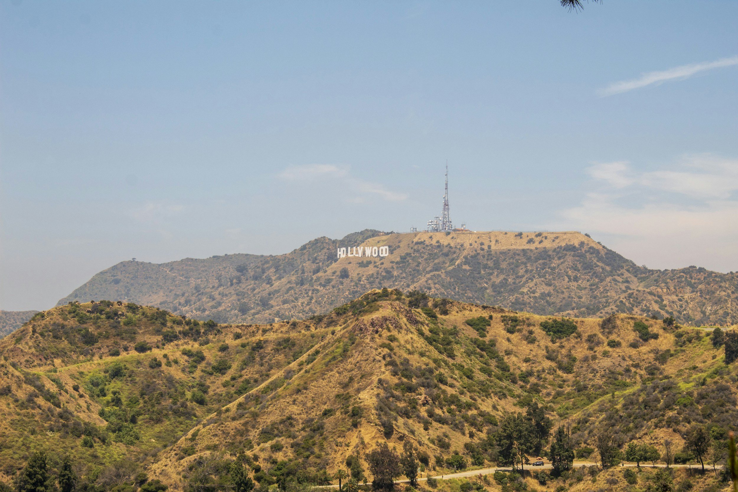 Living in Los Feliz: A Real Estate Guide