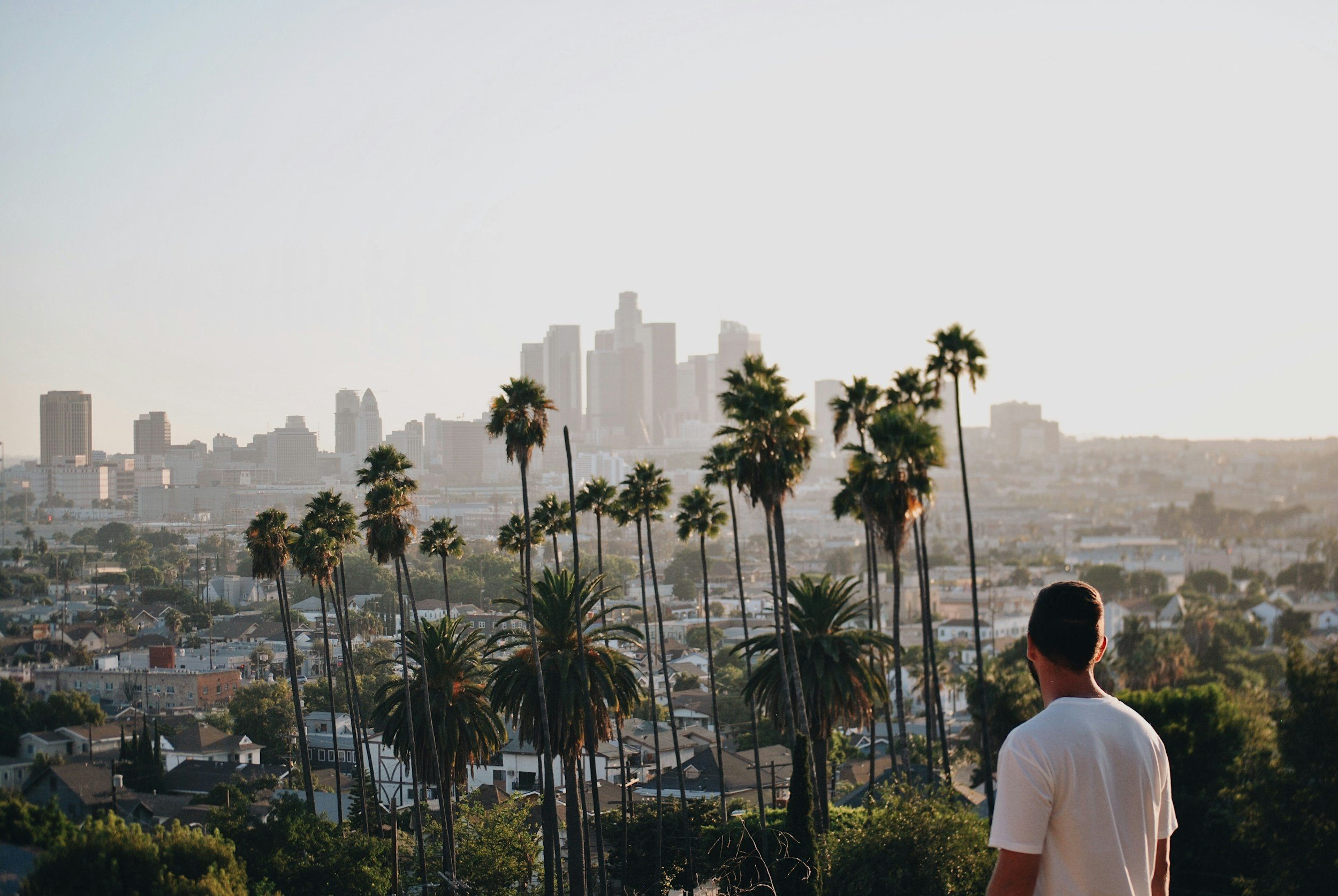 Living in Silver Lake: A Real Estate Guide