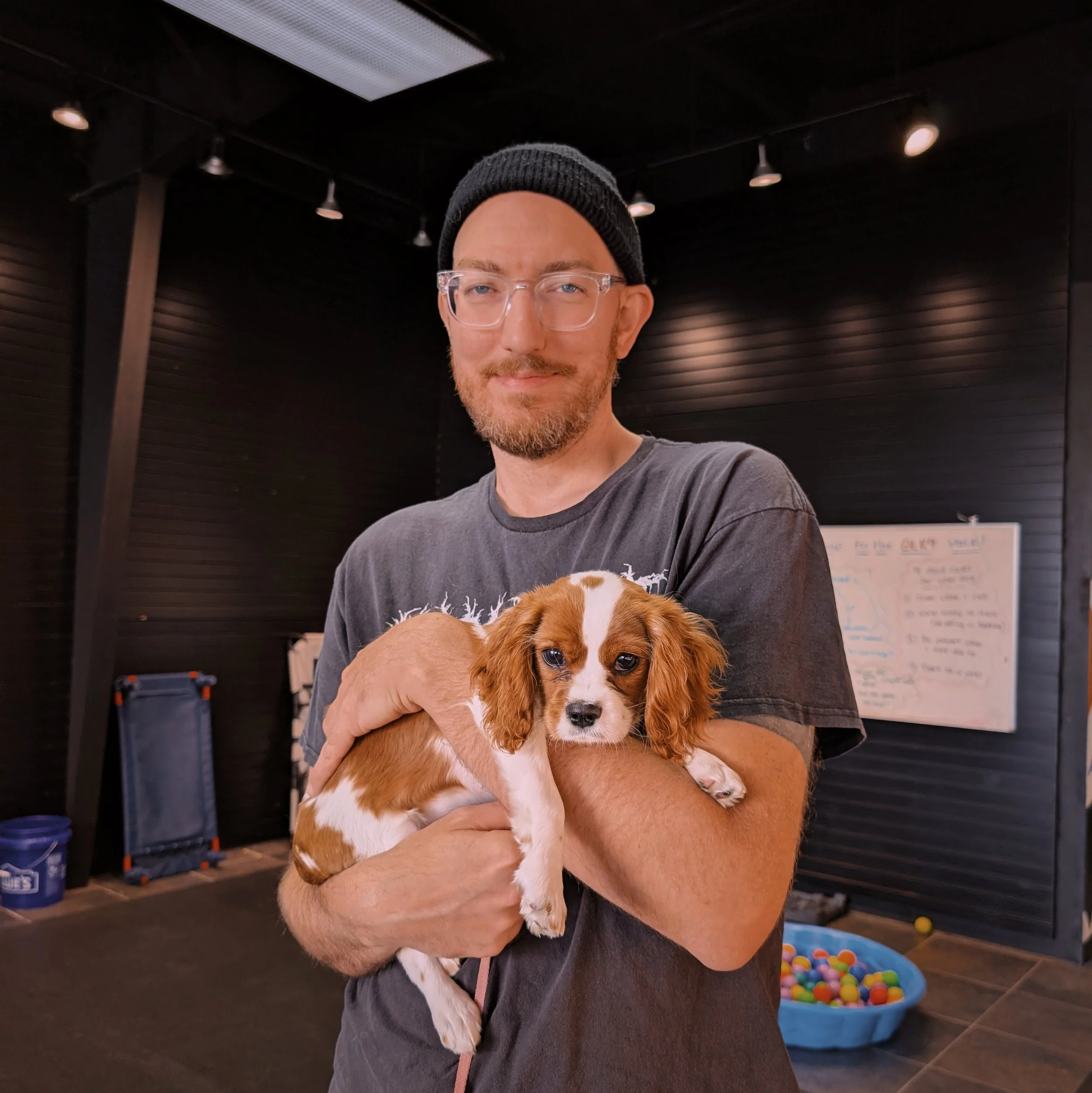 Trainer holding a Caviler King Charles Spaniel puppy in the training room