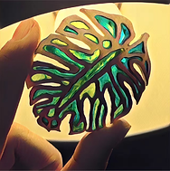 Amazing Enameling Classes(6 Sessions)