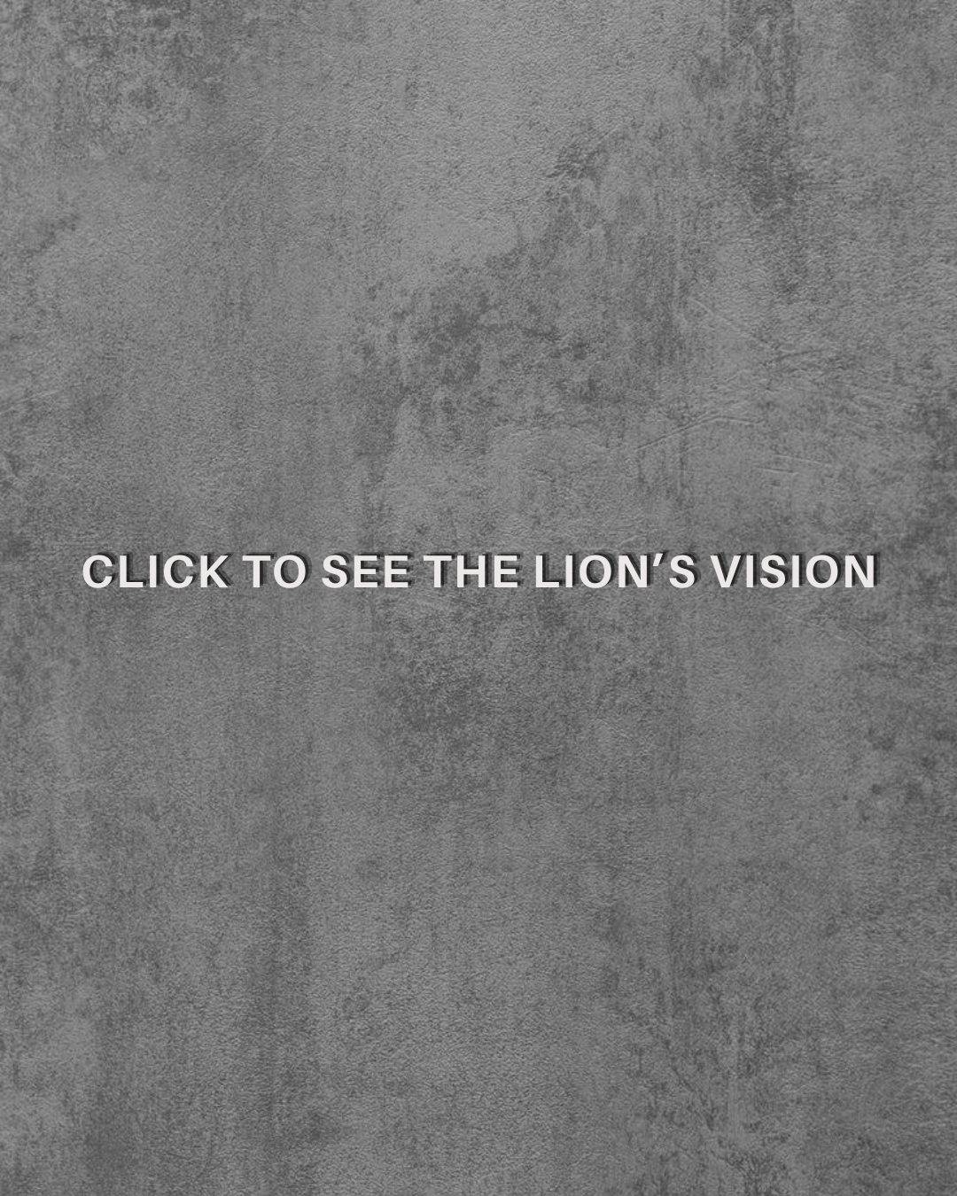 Vision 3