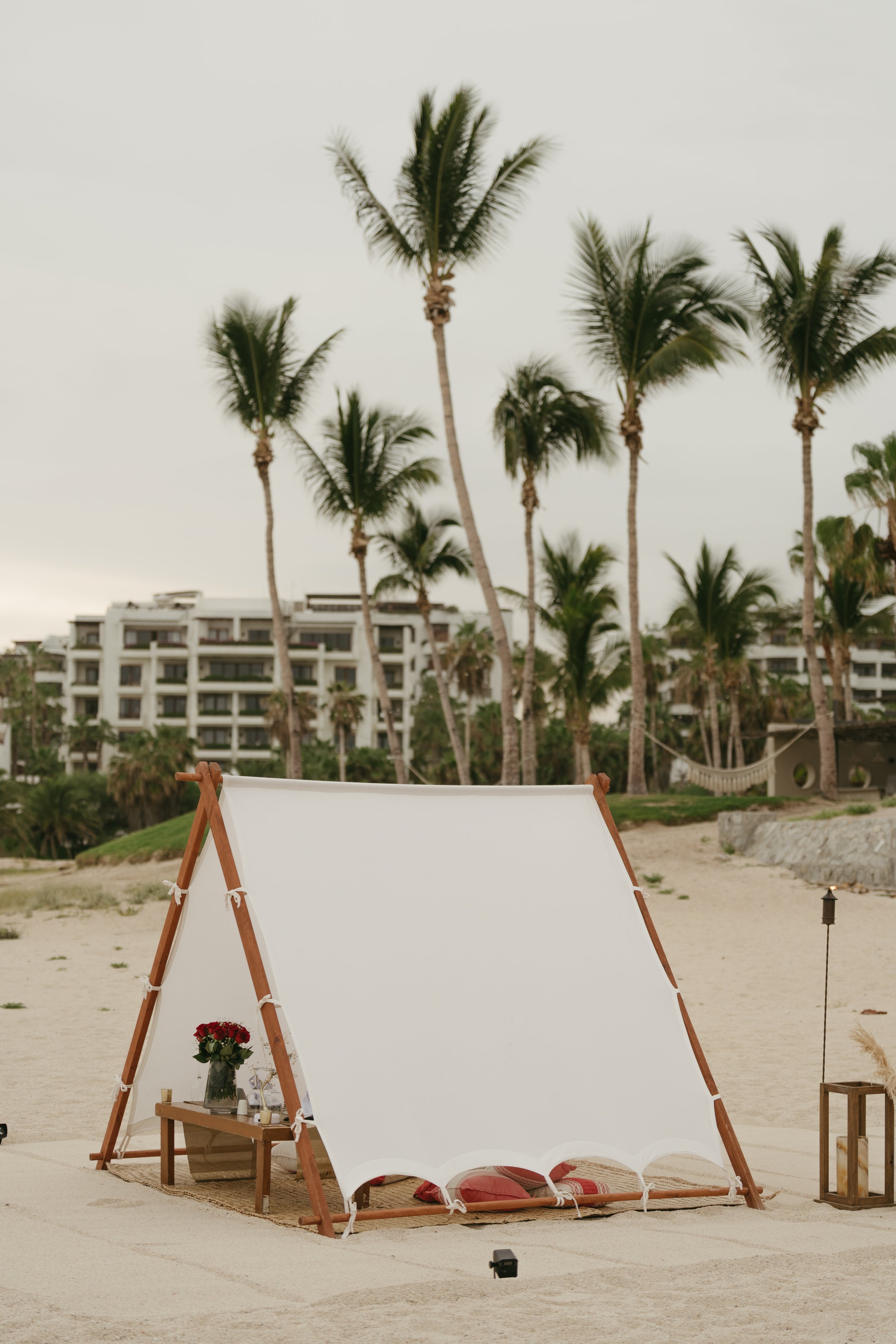 PARADISUS 091025-12.jpg