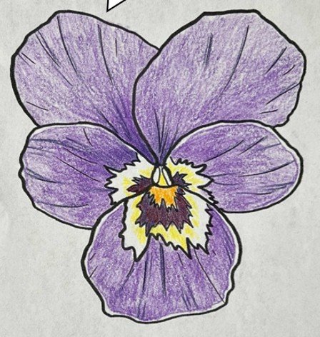 Learn to Draw