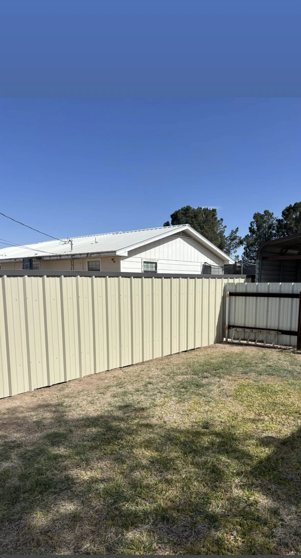 A backyard with a beige metal privacy fence, patchy grass, and a white house with a metal roof in the background. A ladder rests against the fence, and part of a shed or carport is visible on the right. The sky is clear and blue.