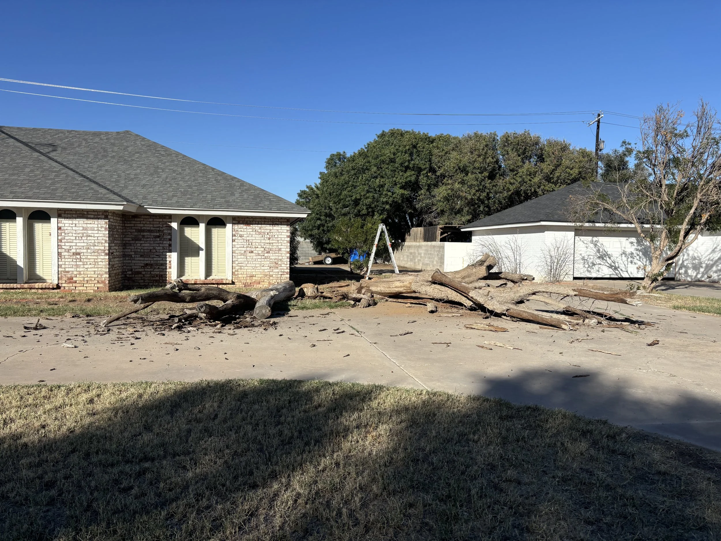 Fallen tree logs and branches on a driveway in front of suburban houses under a clear blue sky.