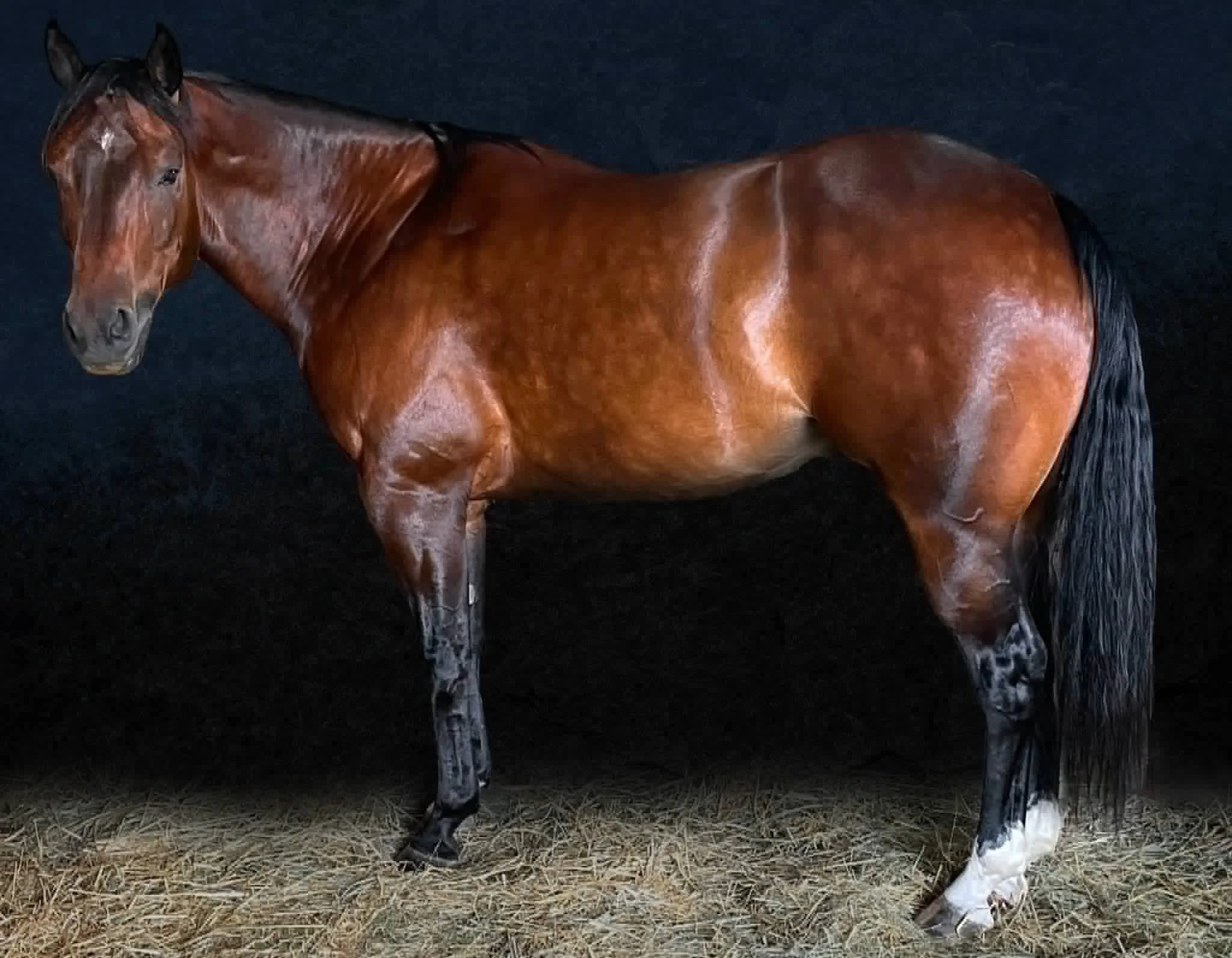 "Reno" an RHU Honorary Graduate.