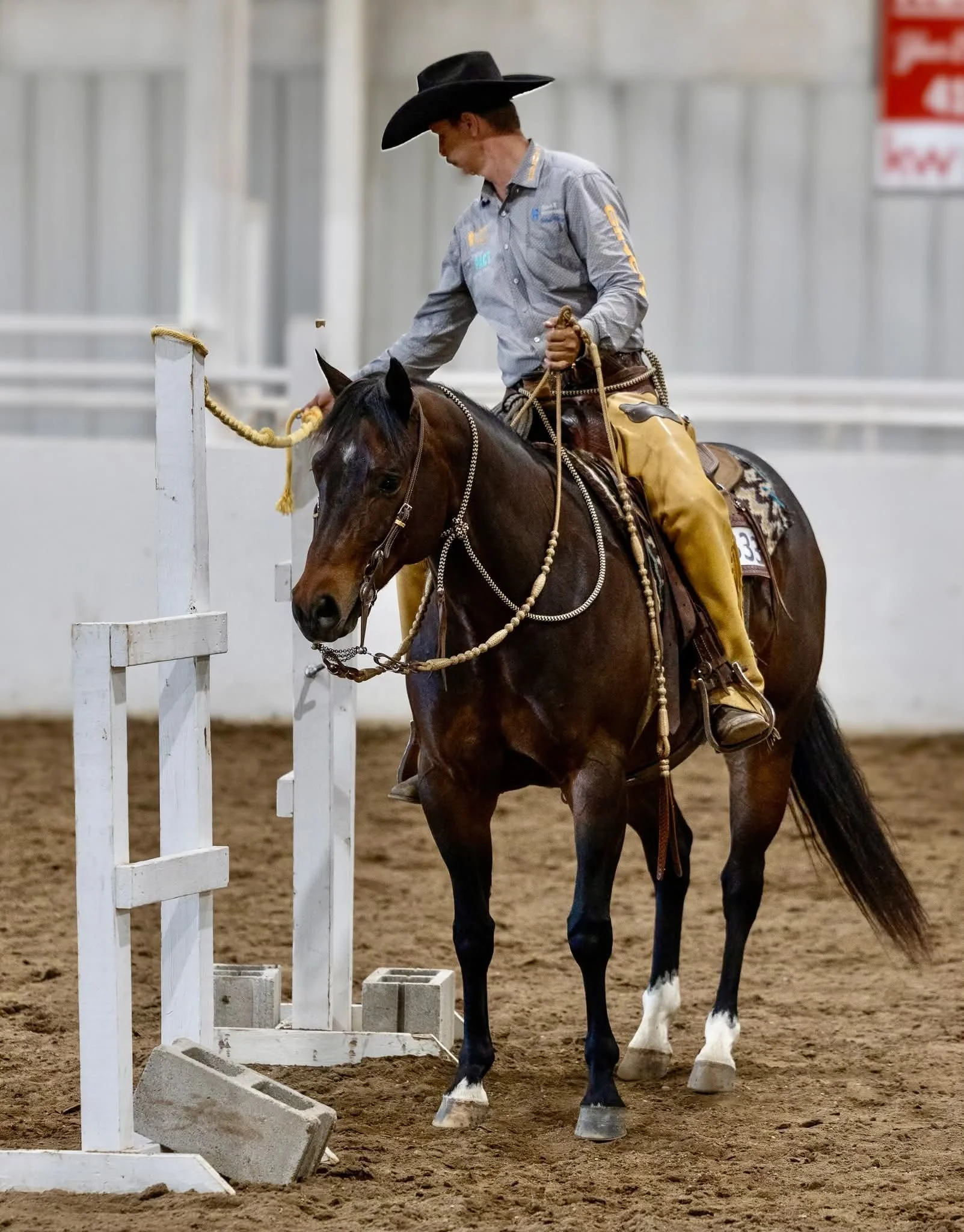 Joshua and Reno working a gate.