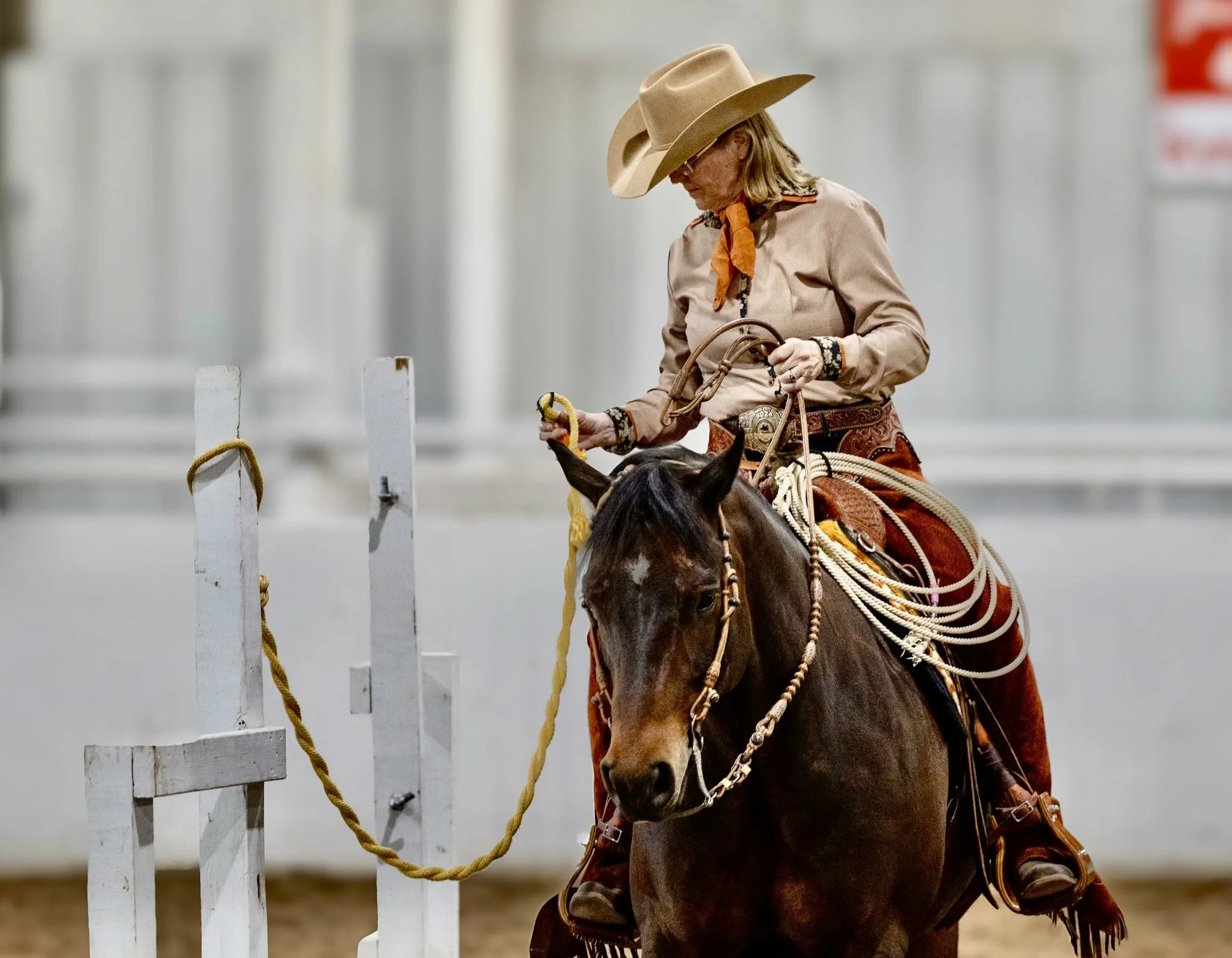 Julie & Reno working a gate.