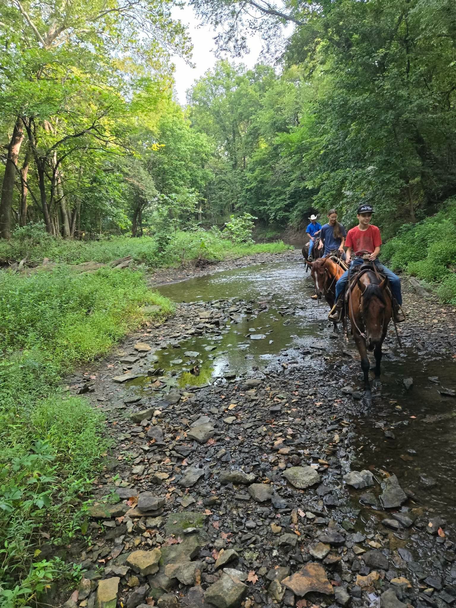 DM Hollywood Dancer, aka "Hollywood", a Performance 101 Graduate with a level head that continues to step into his own as he matures.