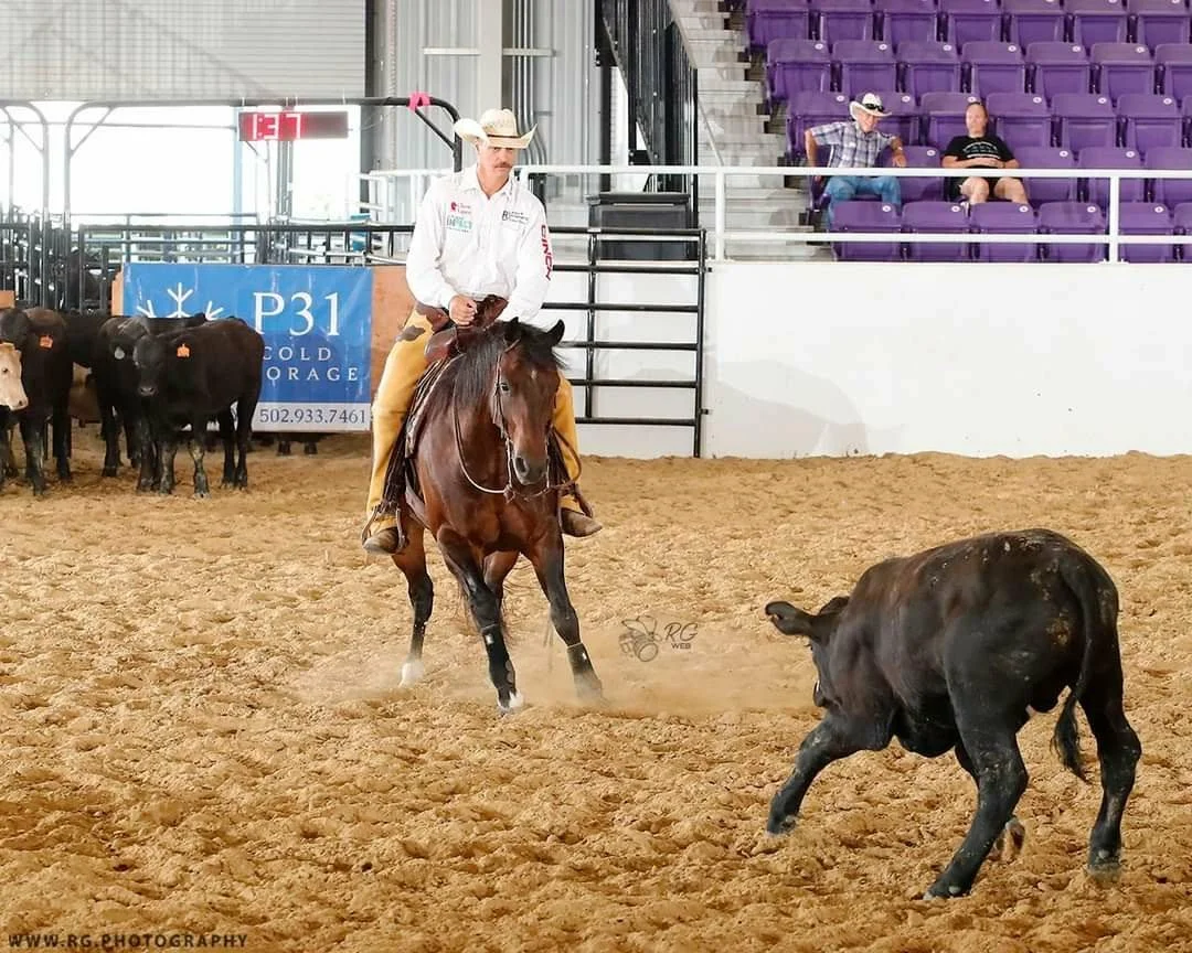 RHU Graduate competing in cow classes.