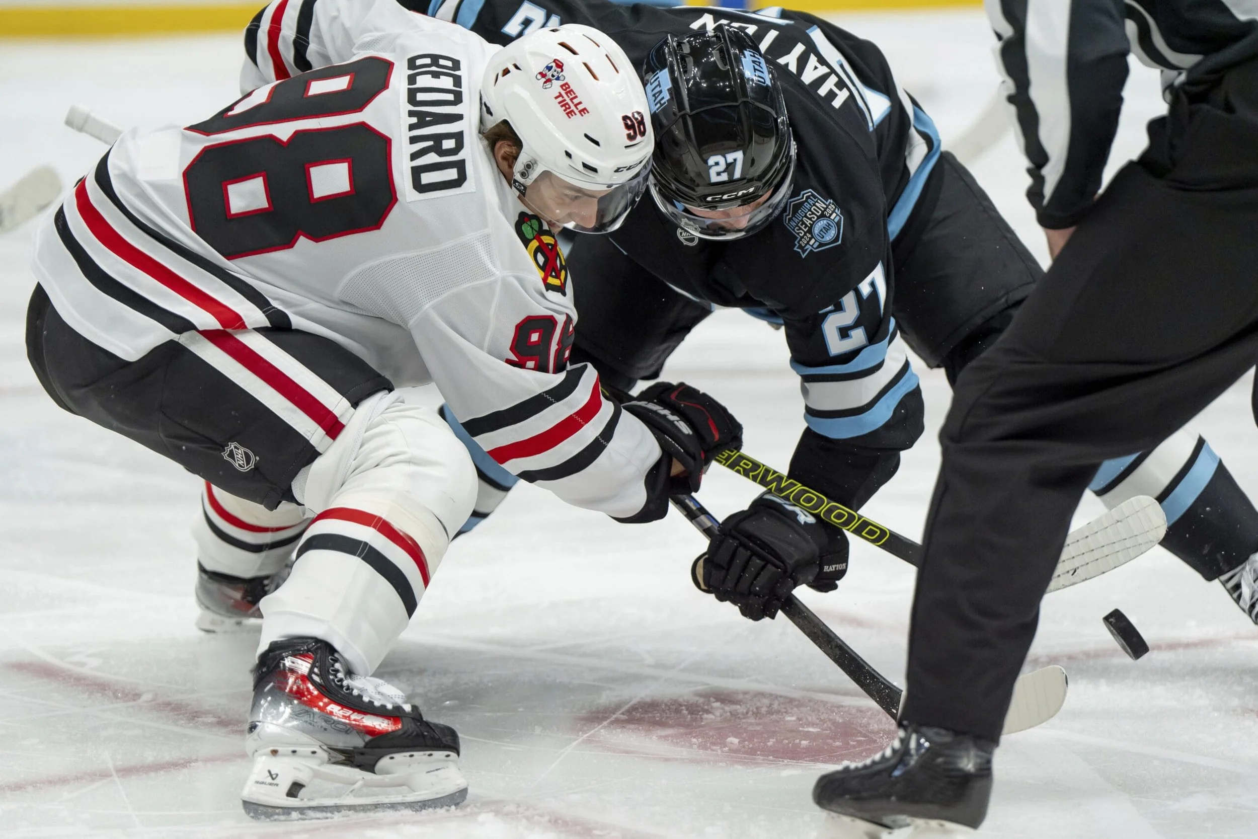 Blackhawks vs Mammoth Preview, Projected lines