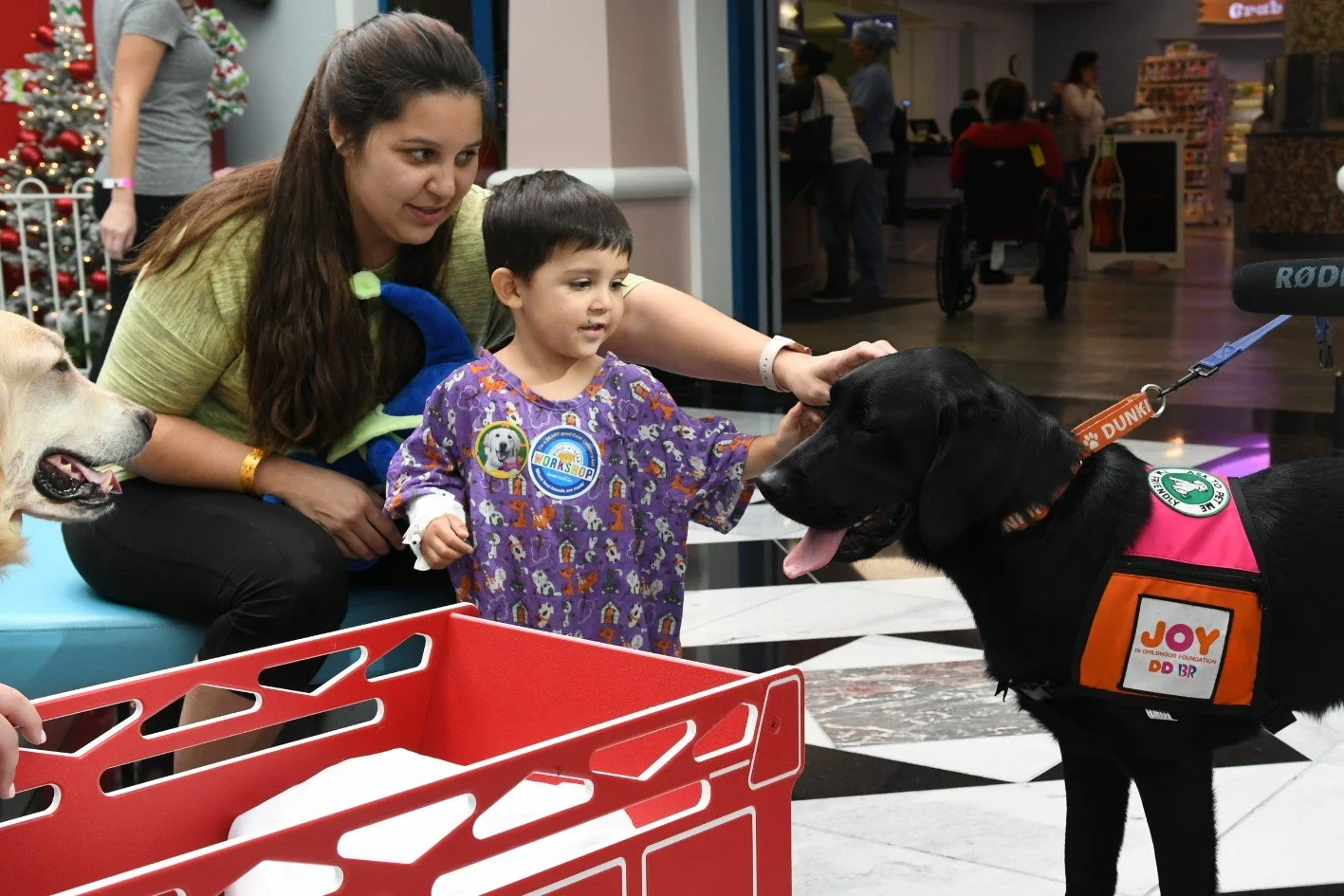A young girl pets a black service dog wearing a vest with the Joy in Childhood Foundation logo and a service dog patch, while a woman with long brown hair and a green shirt looks on at a shopping mall charity event.