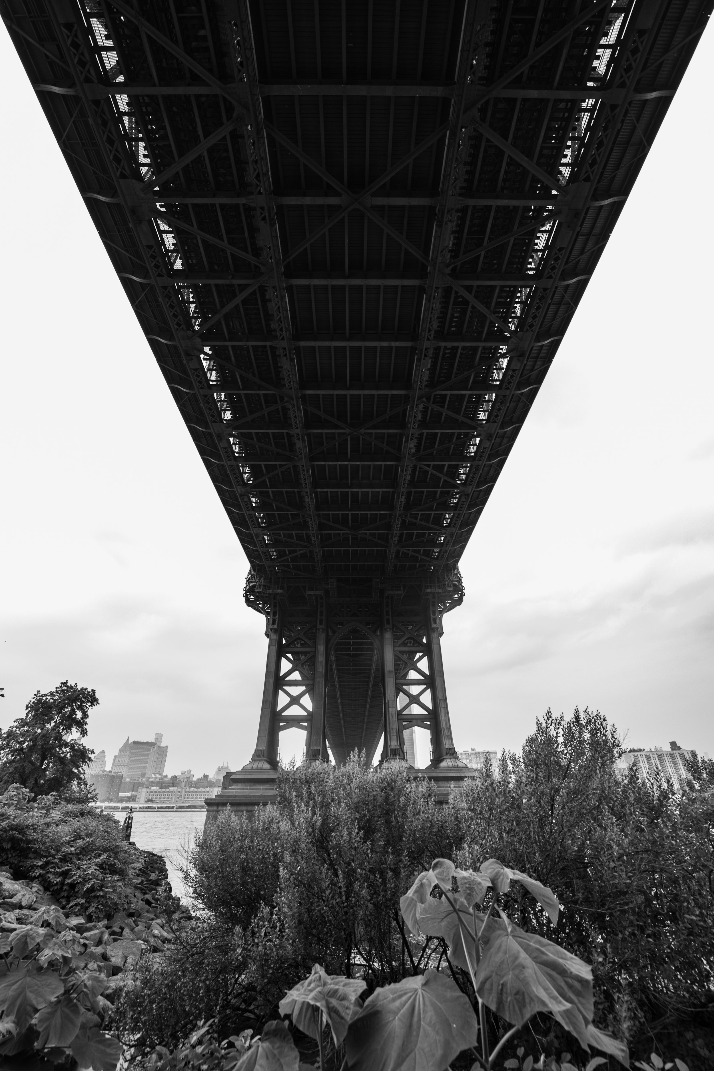 untitled-28.jpg