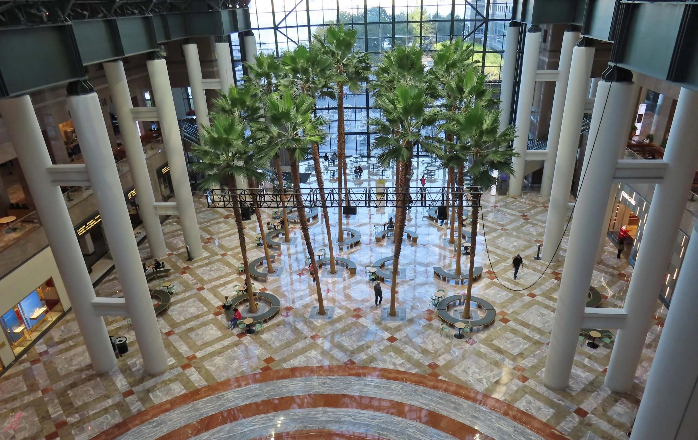 Large palm trees and rigging equipment in open atrium. 