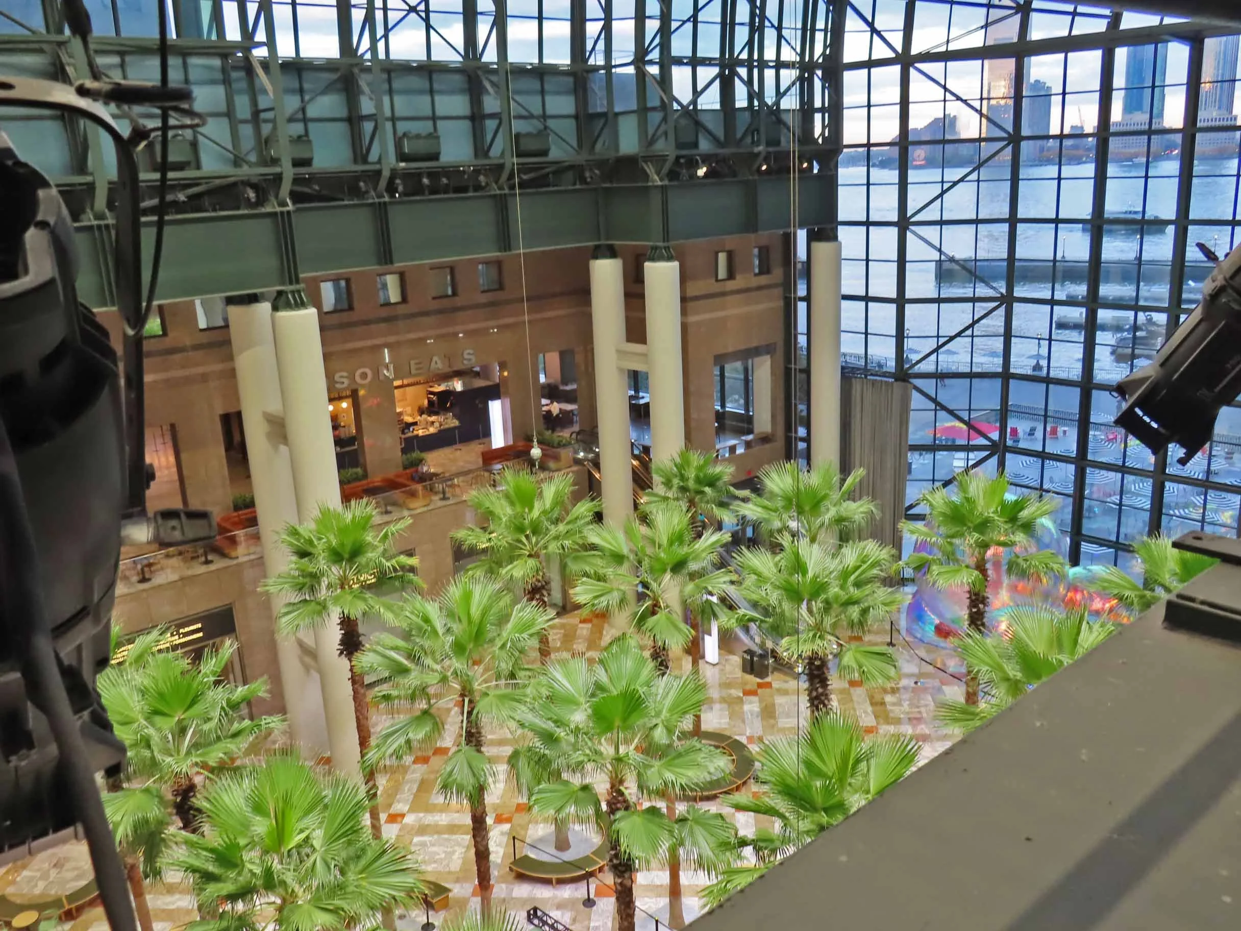 Large open atrium with palm trees and glass windows.