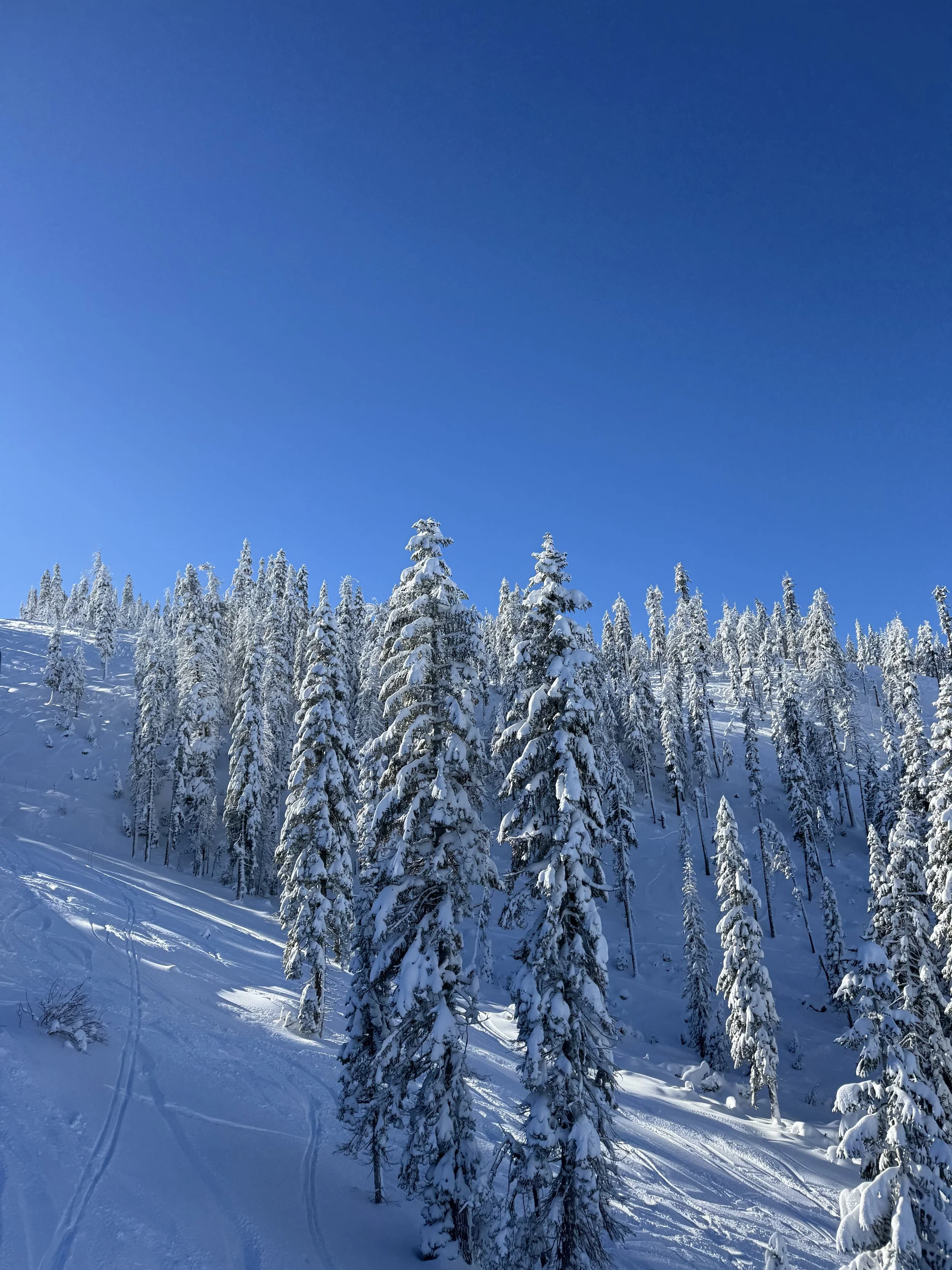 Beginning — and the Beginner