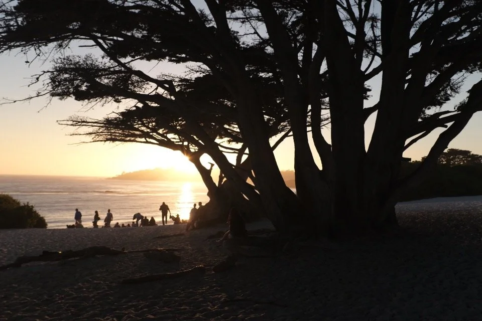 Grace in a World Gone Wrong