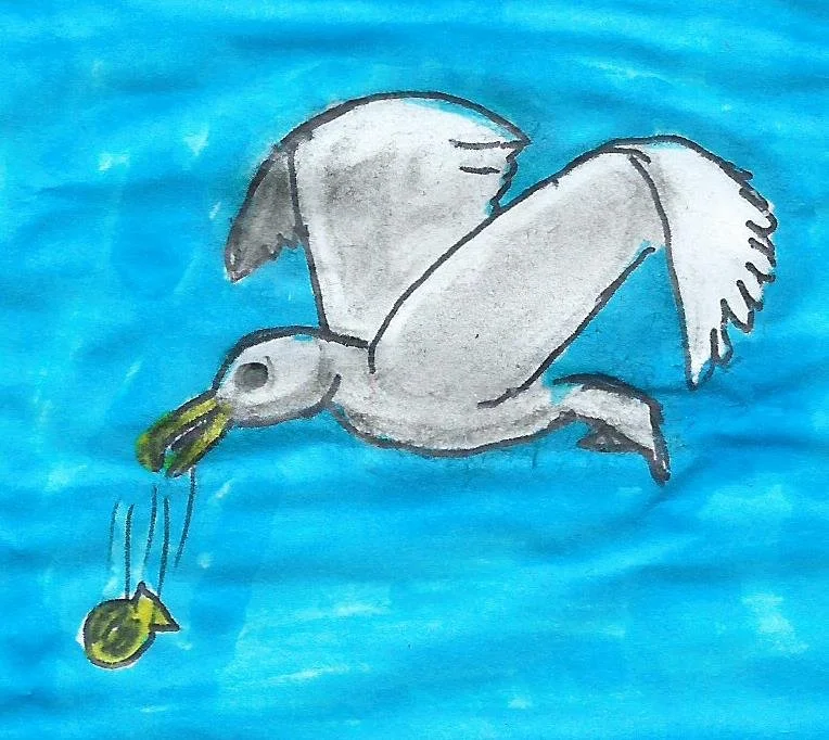 Strange Monkey -seagull.jpg