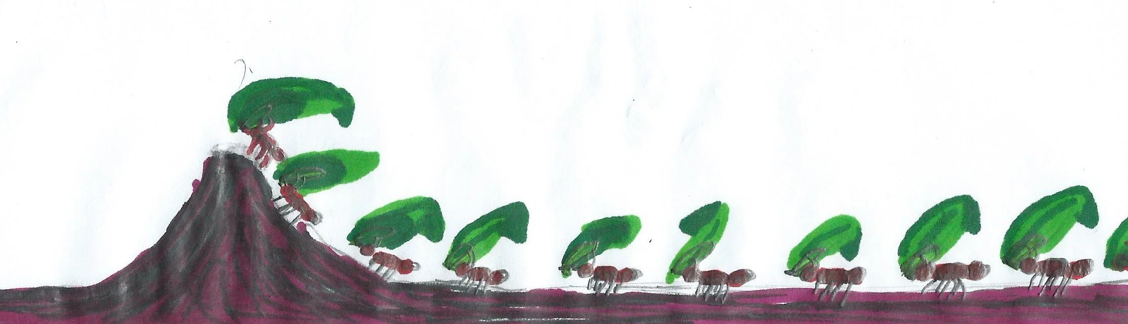 Strange Monkey - ants.jpg