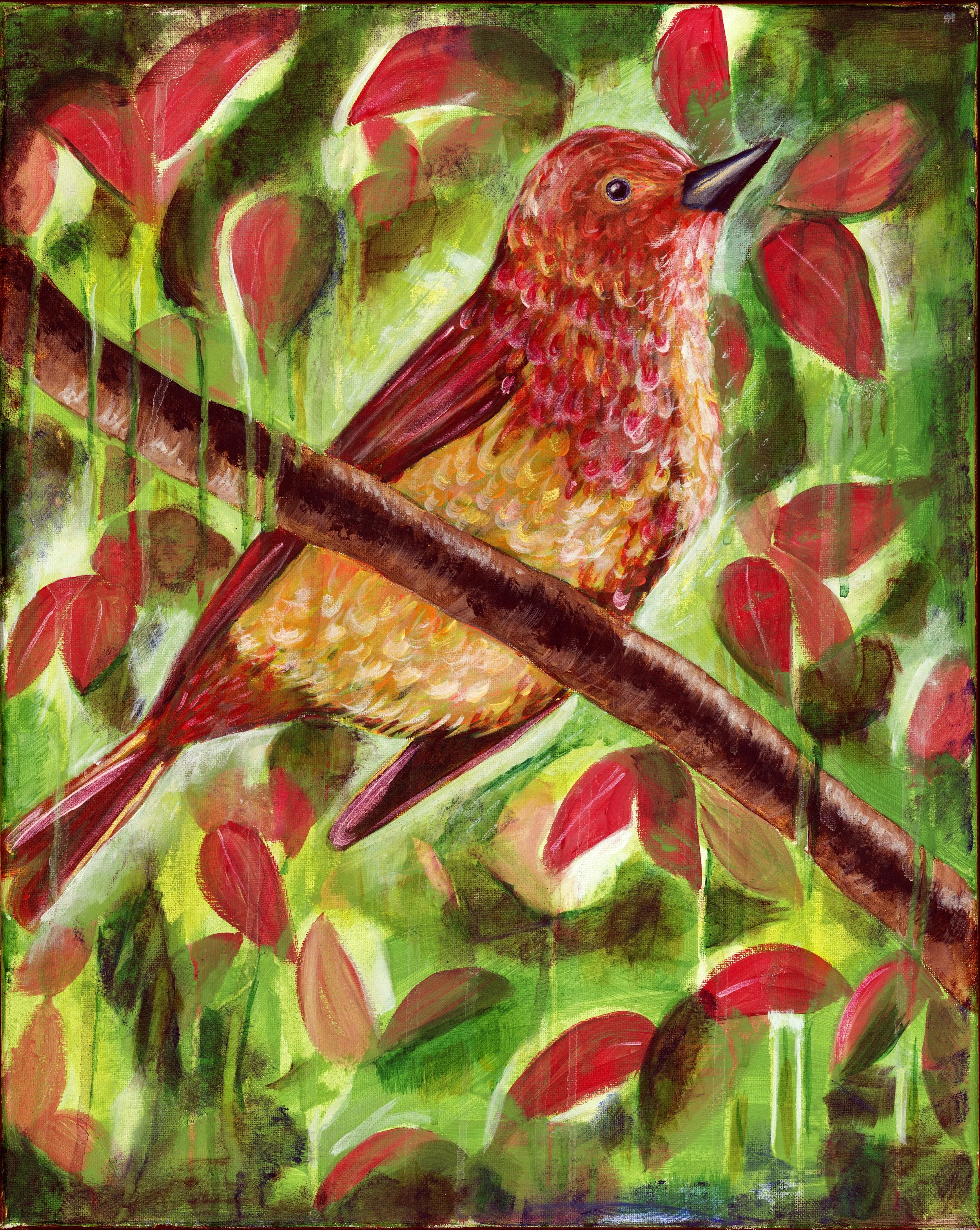 Summer Tanager.jpg