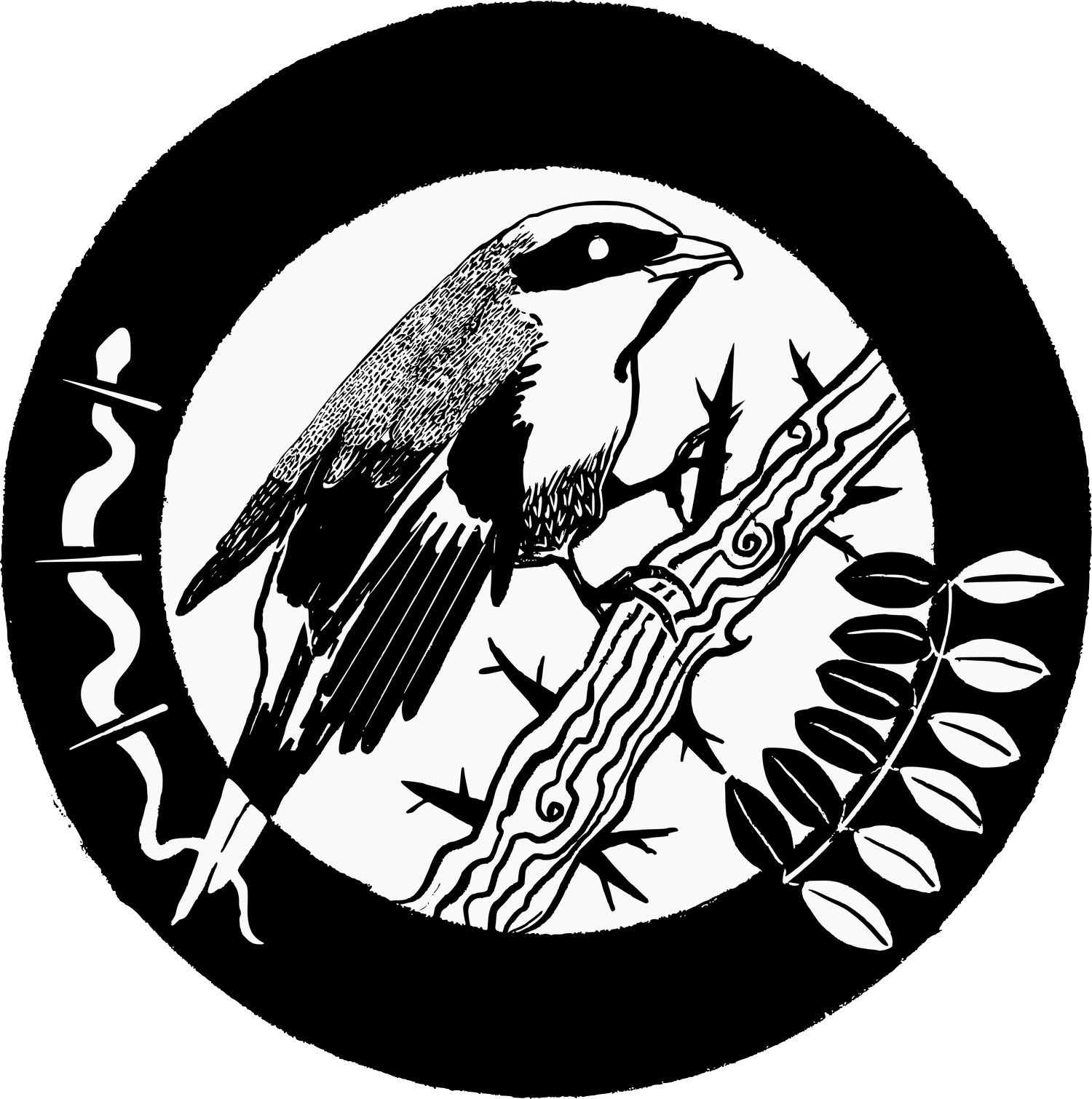 Shrike &amp; Locust Studio