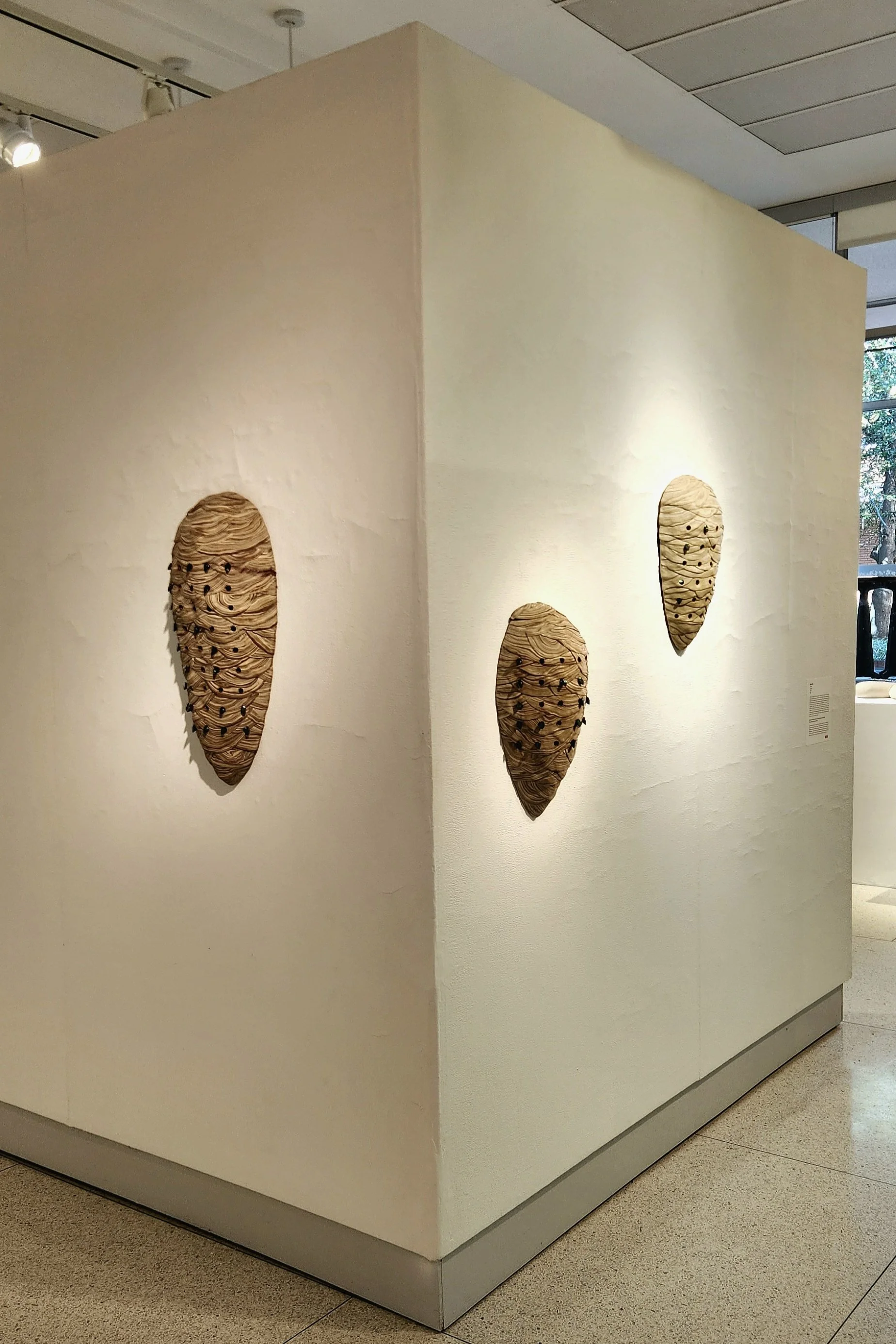 Copy of 20251110_132119(1).jpg