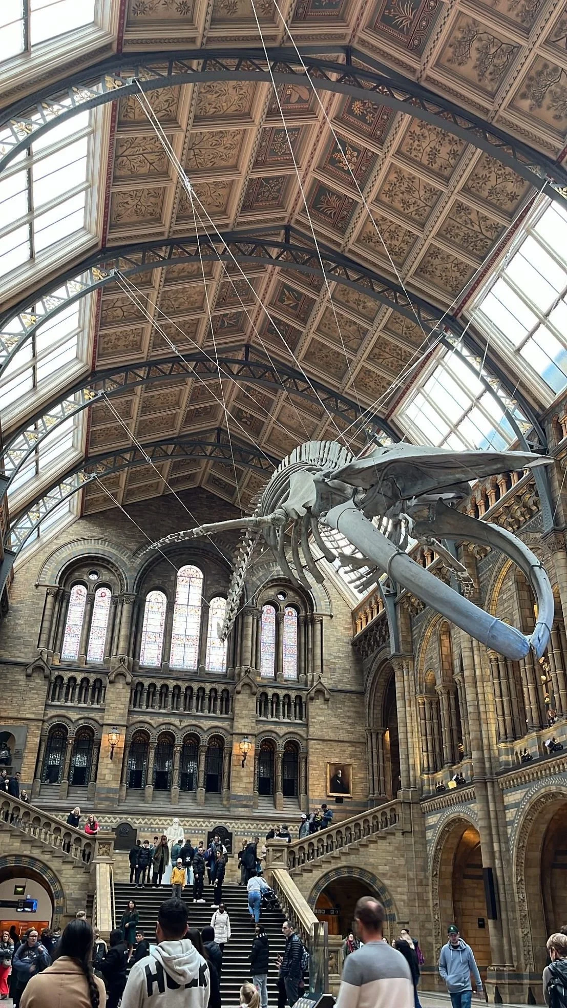 Inside a grand historic building with a high, decorated ceiling, stained glass windows, and a large whale skeleton suspended from the ceiling, with visitors walking and standing on staircases and balconies.