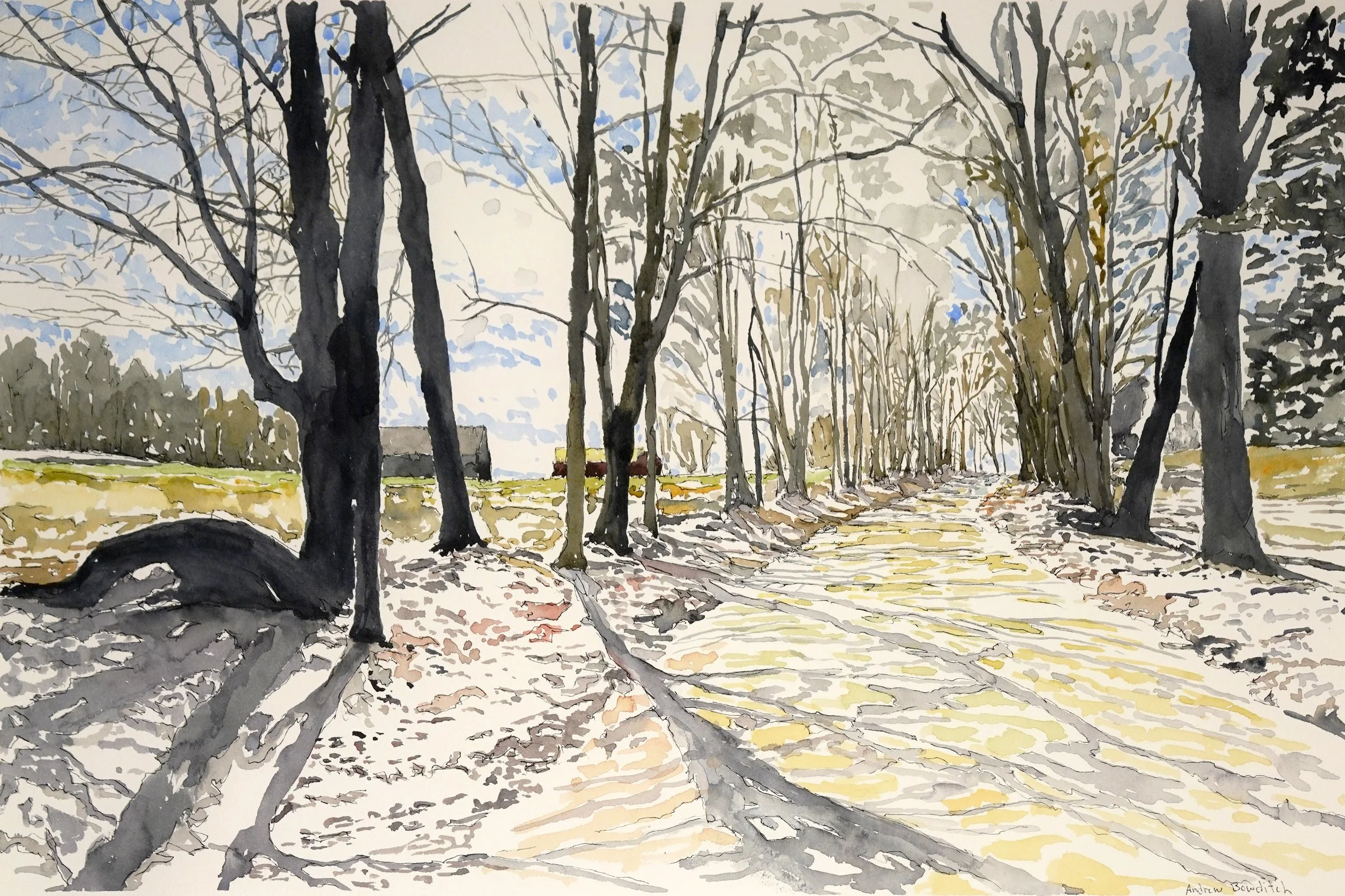 A watercolor painting of a dirt path lined with leafless trees, some with dark trunks and branches, in a natural landscape under a partly cloudy sky.