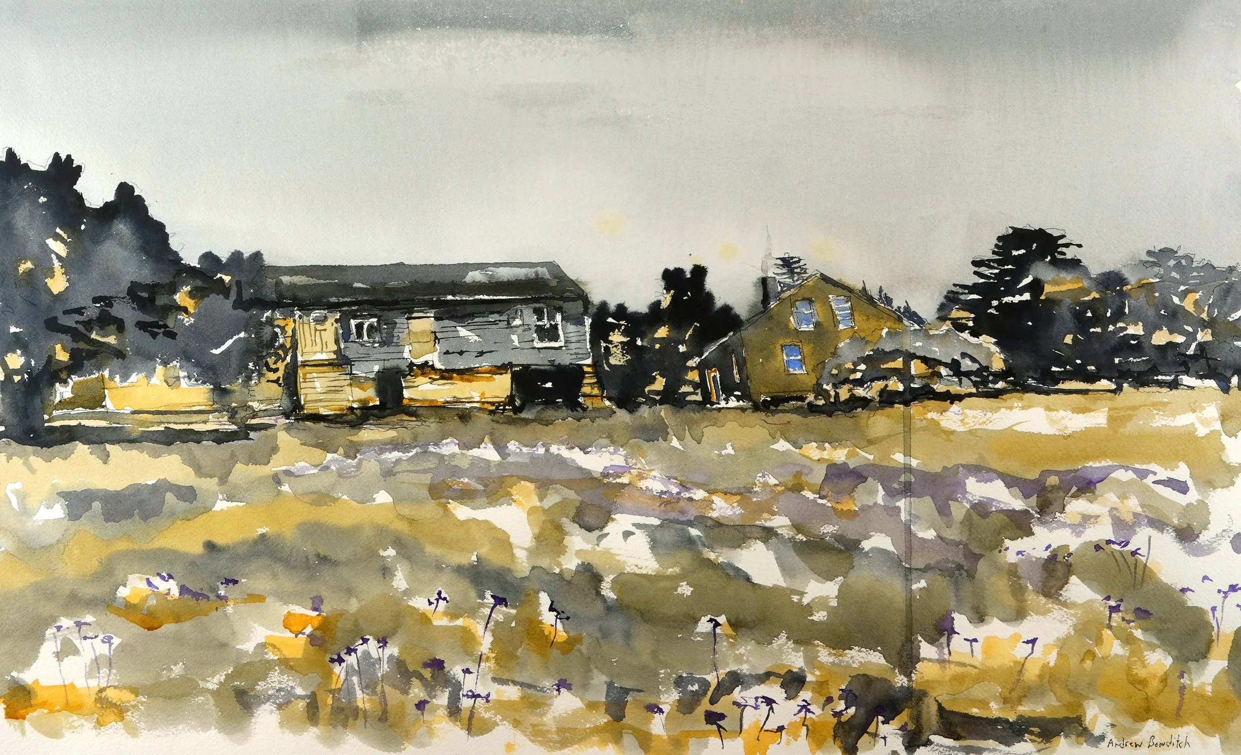 Watercolor painting of a rural landscape with two houses, trees, and a field with purple flowers under a gray sky.