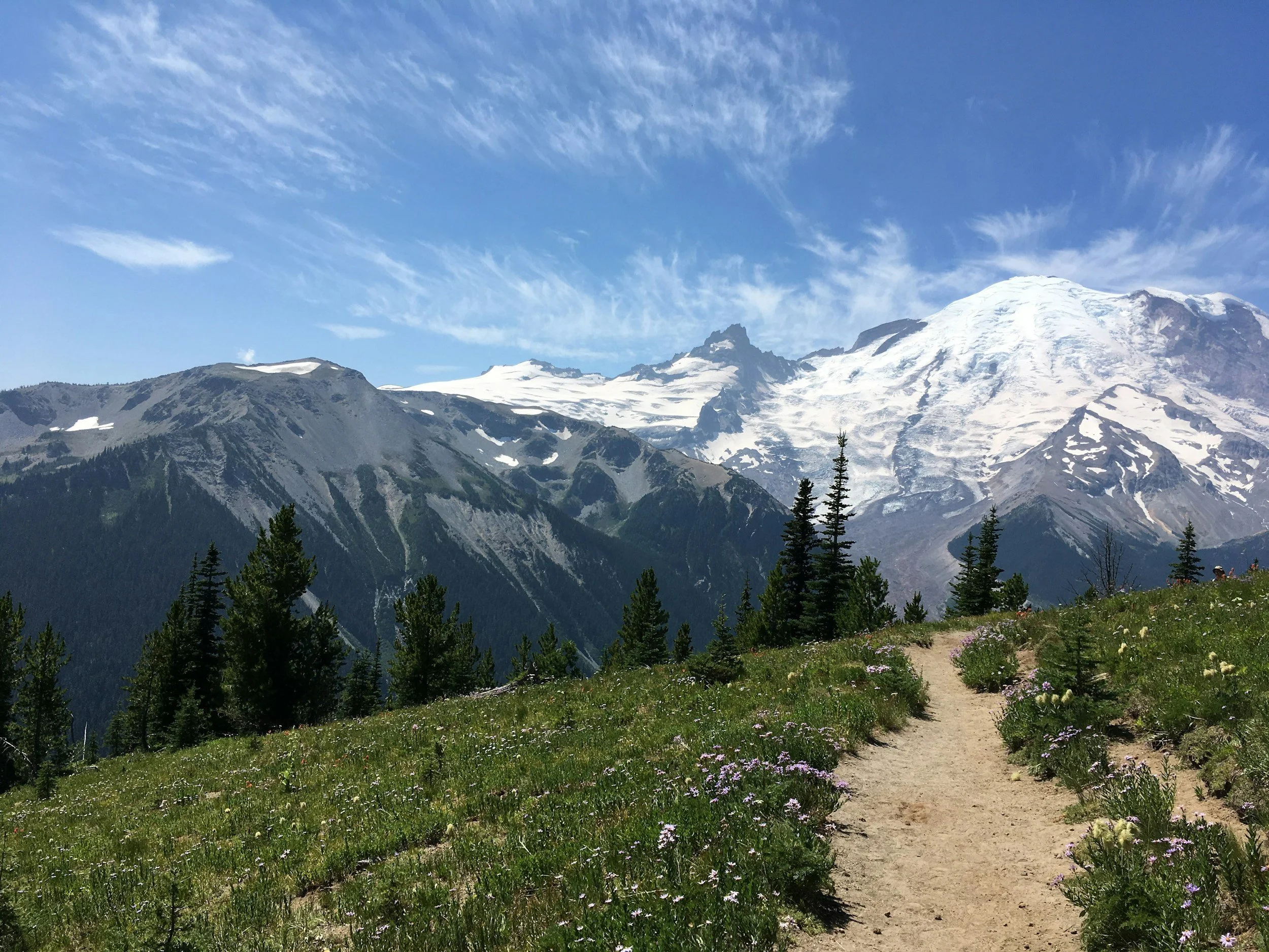 Mountain trail leading towards snow-capped peaks under blue sky with wispy clouds, surrounded by green trees and wildflowers.