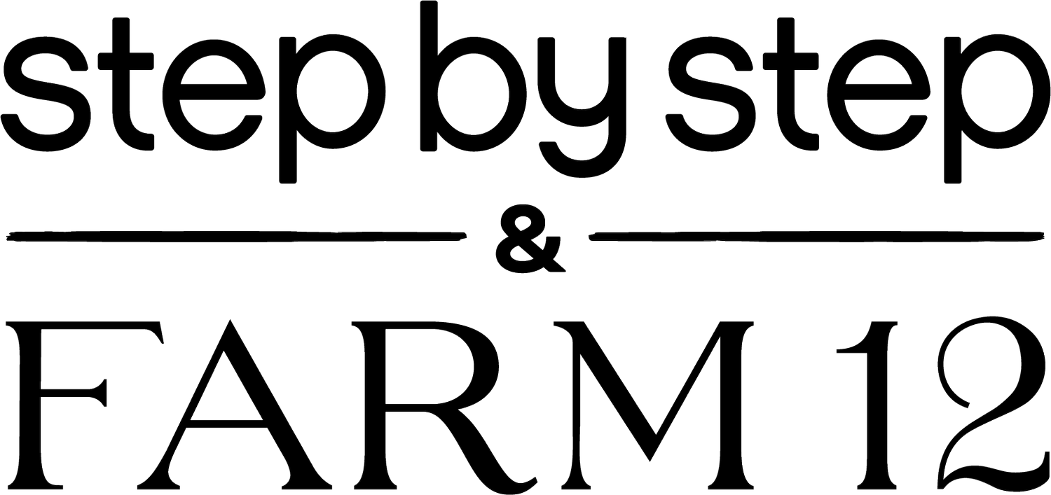 Logo with the text 'step by step & FARM '12' in outlined font, with a horizontal line separating the top and bottom sections