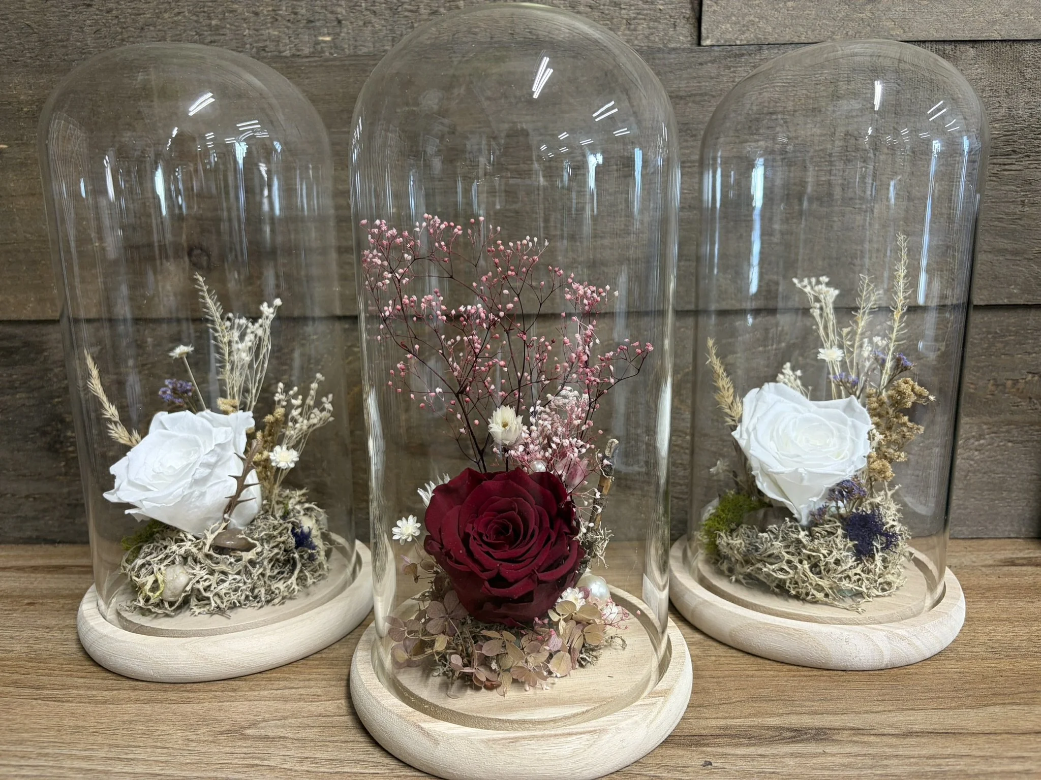 Rose éternelle en dôme | Prix