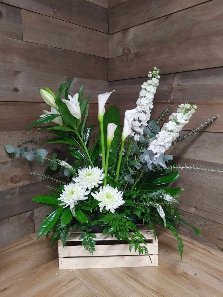 Arrangement 1 │ 200$