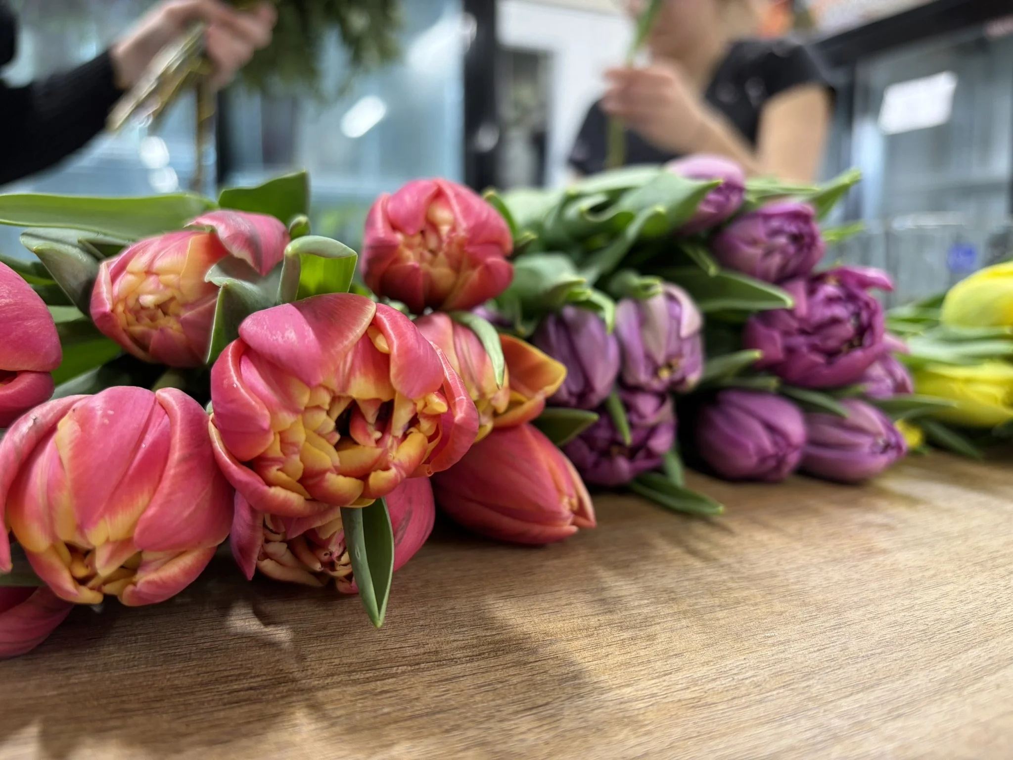 Tulipe à l'unité | Prix