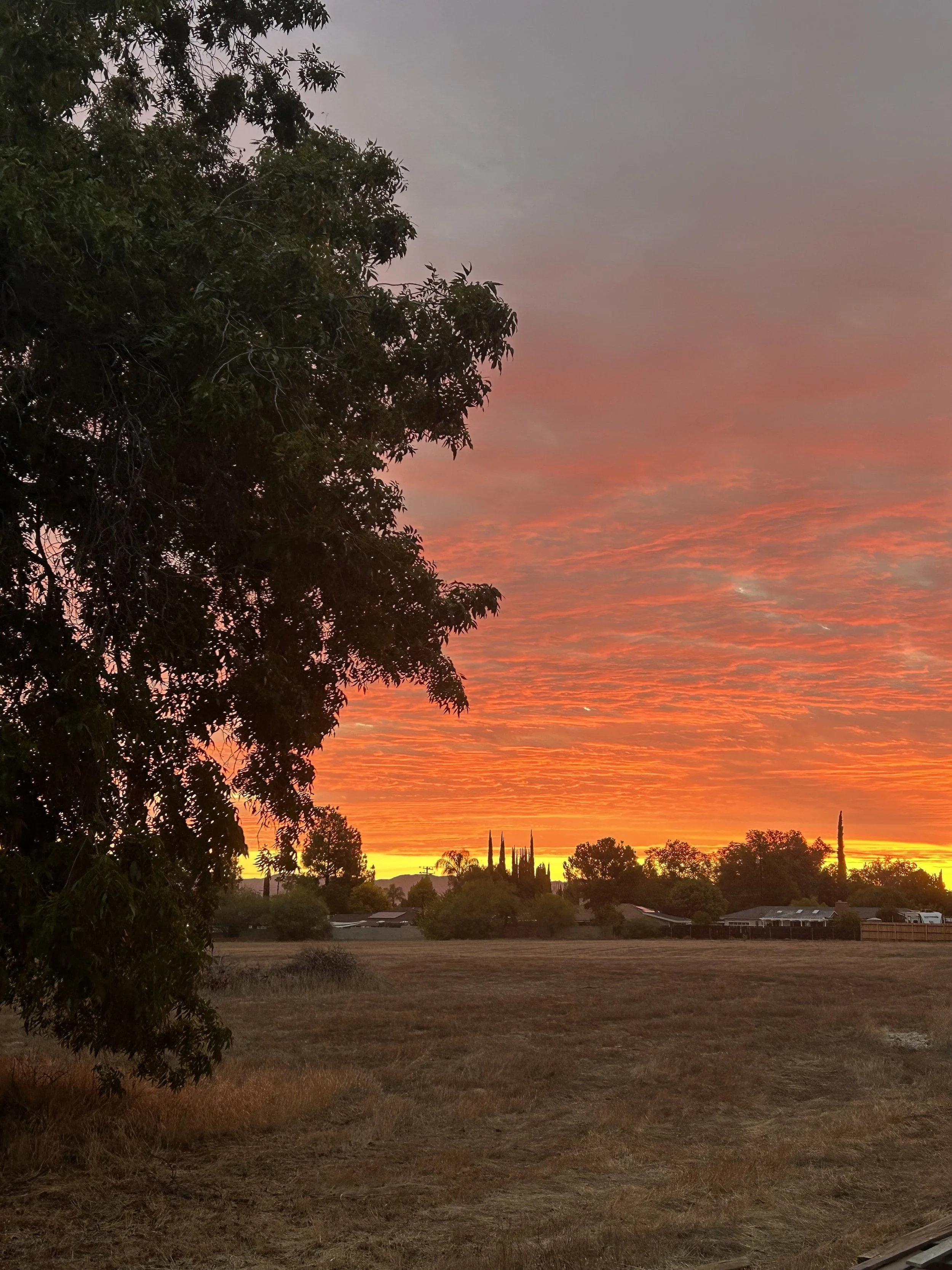 10 Week Nutrition Coaching