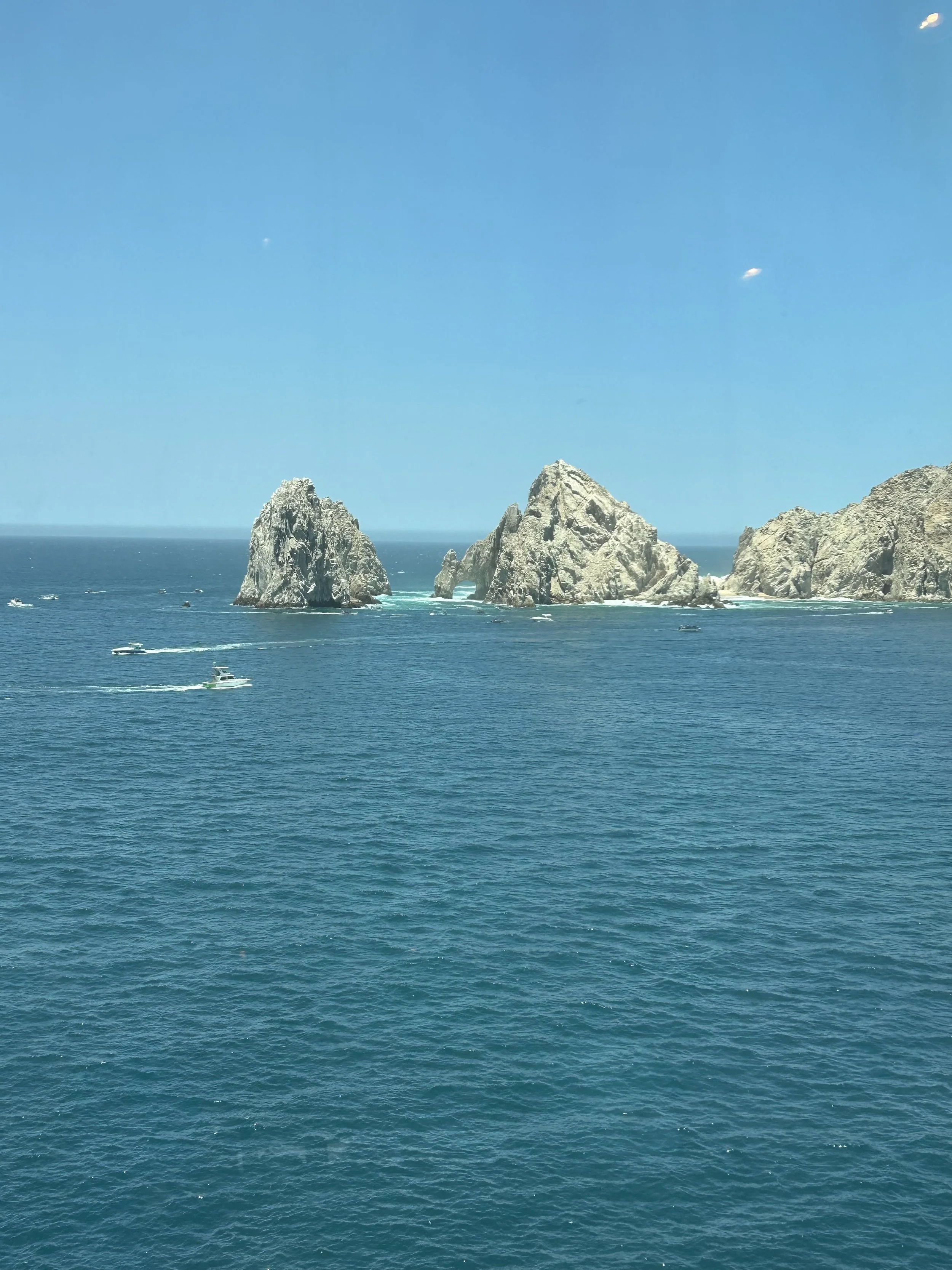 35 Minute Nutrition Consult