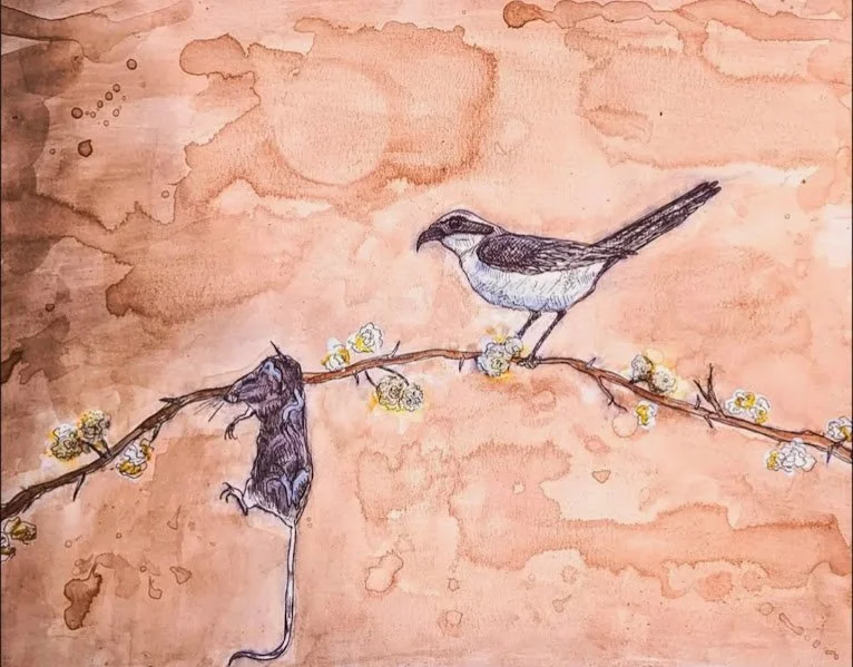 Remember Me When I'm Reborn
walnut dye and ink 