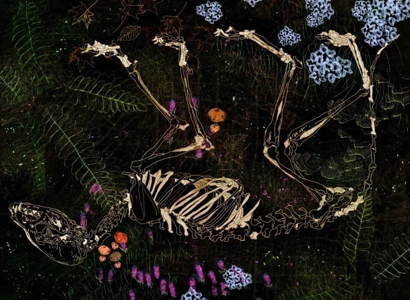 The End
digital drawing