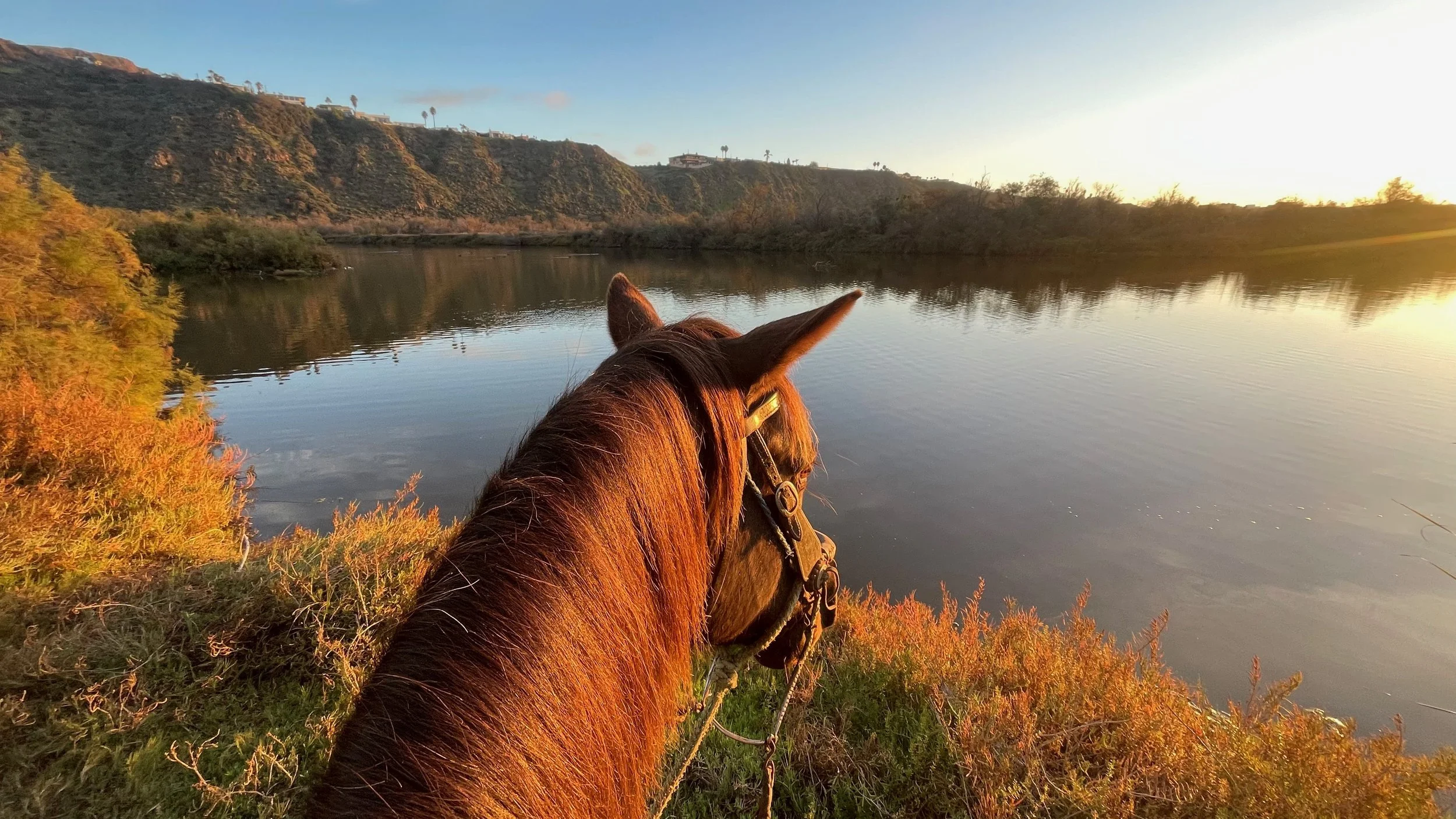 FullSizeRender (11).jpeg