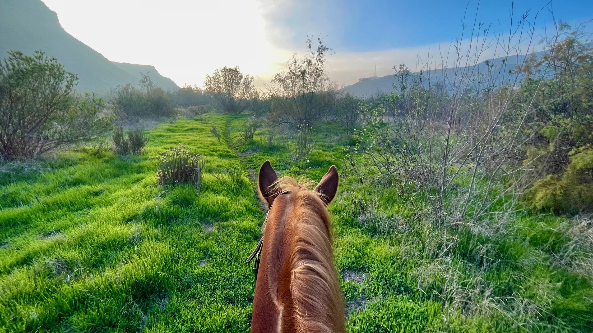 FullSizeRender (4).jpeg