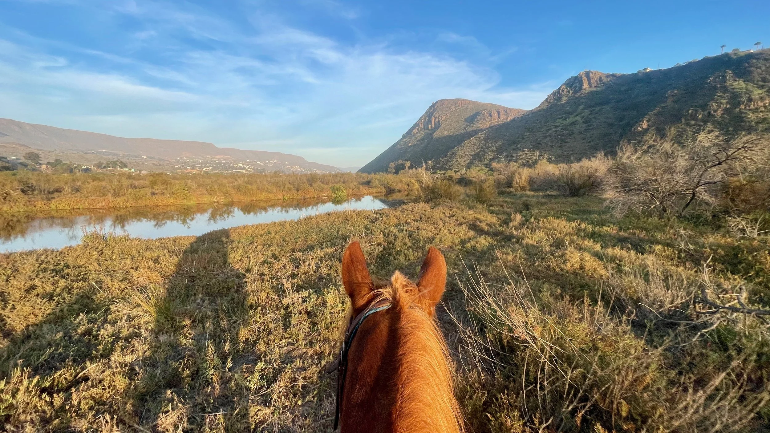 FullSizeRender (6).jpeg