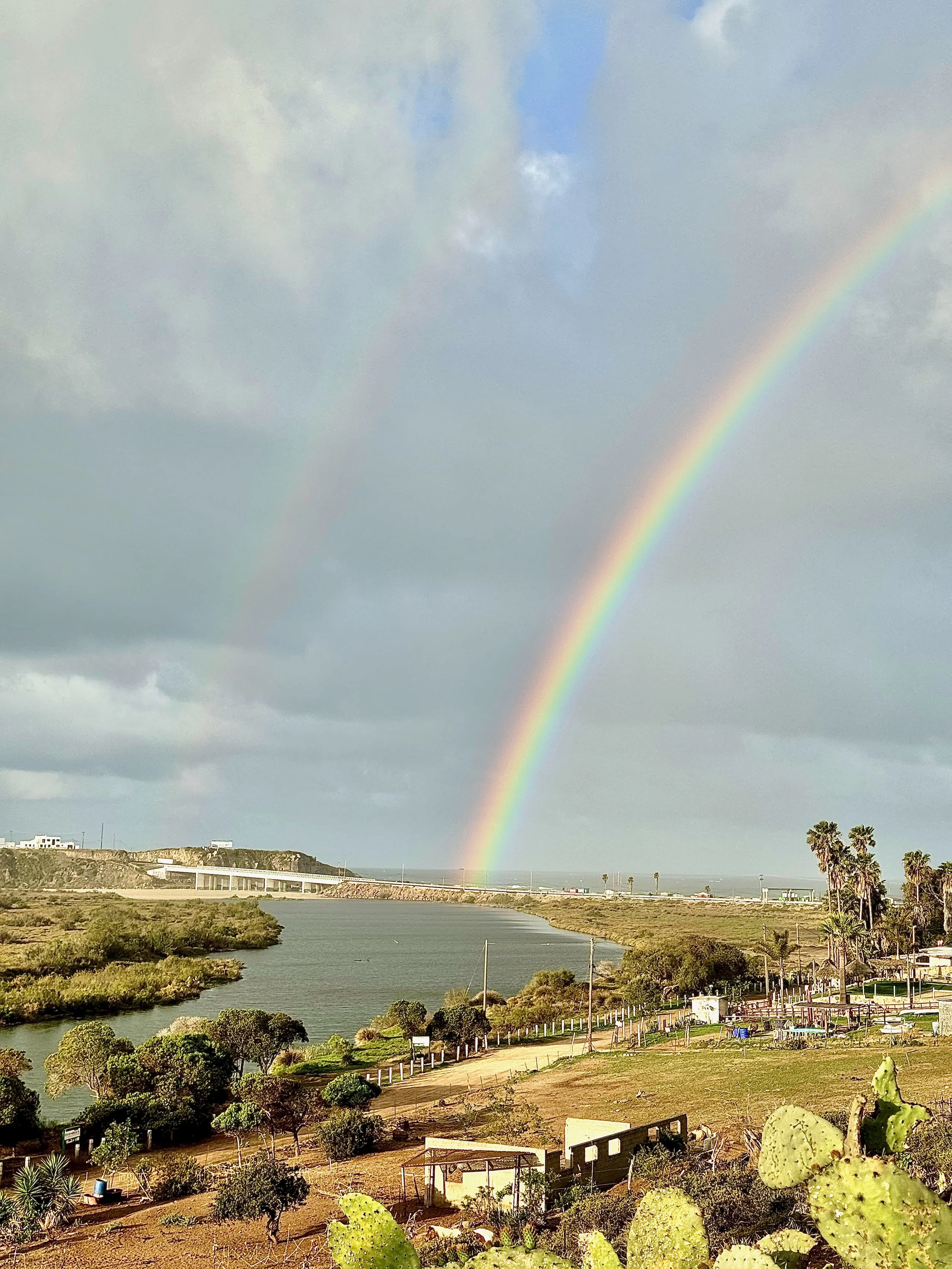 The Weather Gods and the Reins: When Agency Feels Bumpy