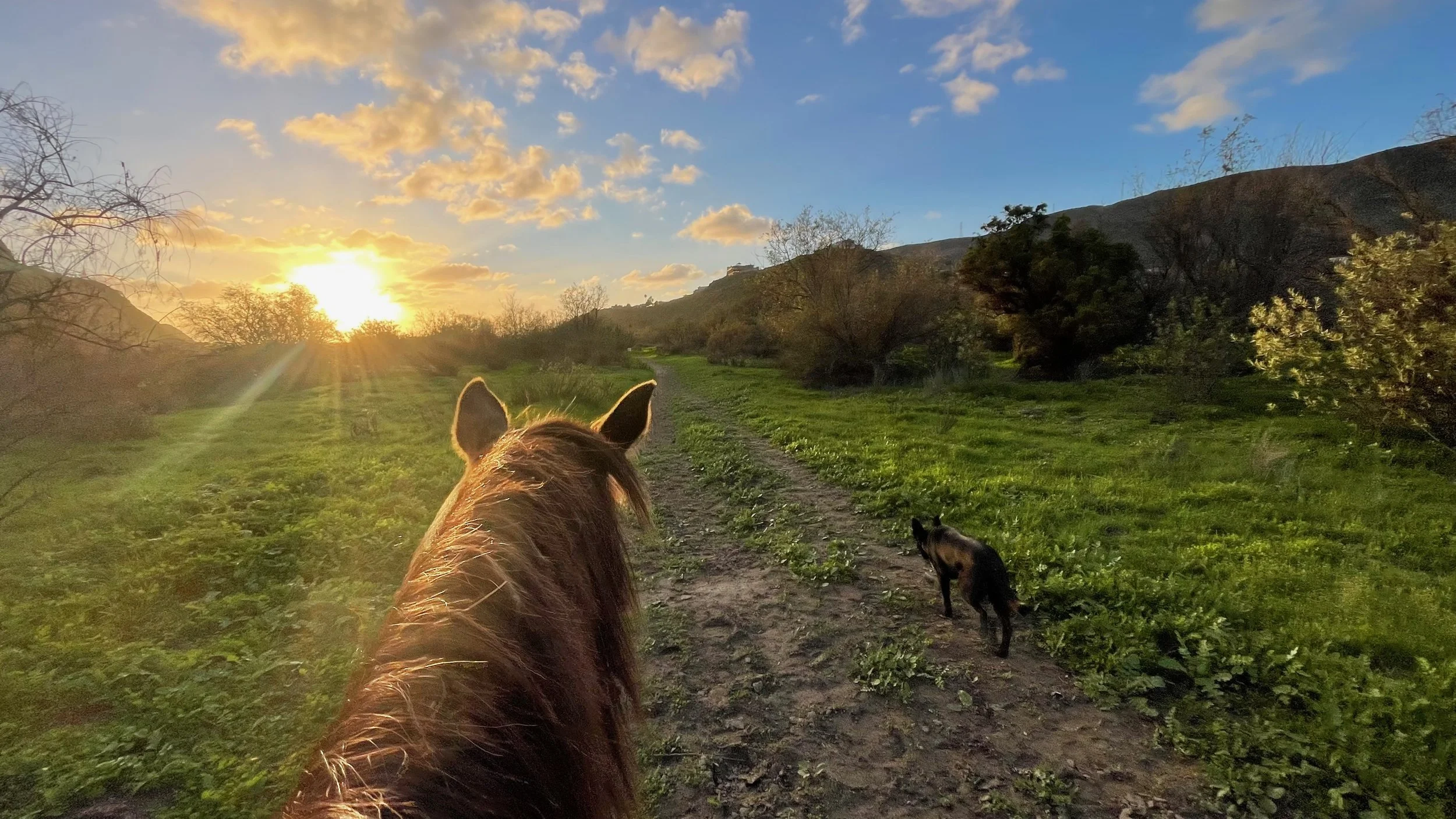 The Sovereign Lead: Reclaiming Your Rhythm in a Stormy World