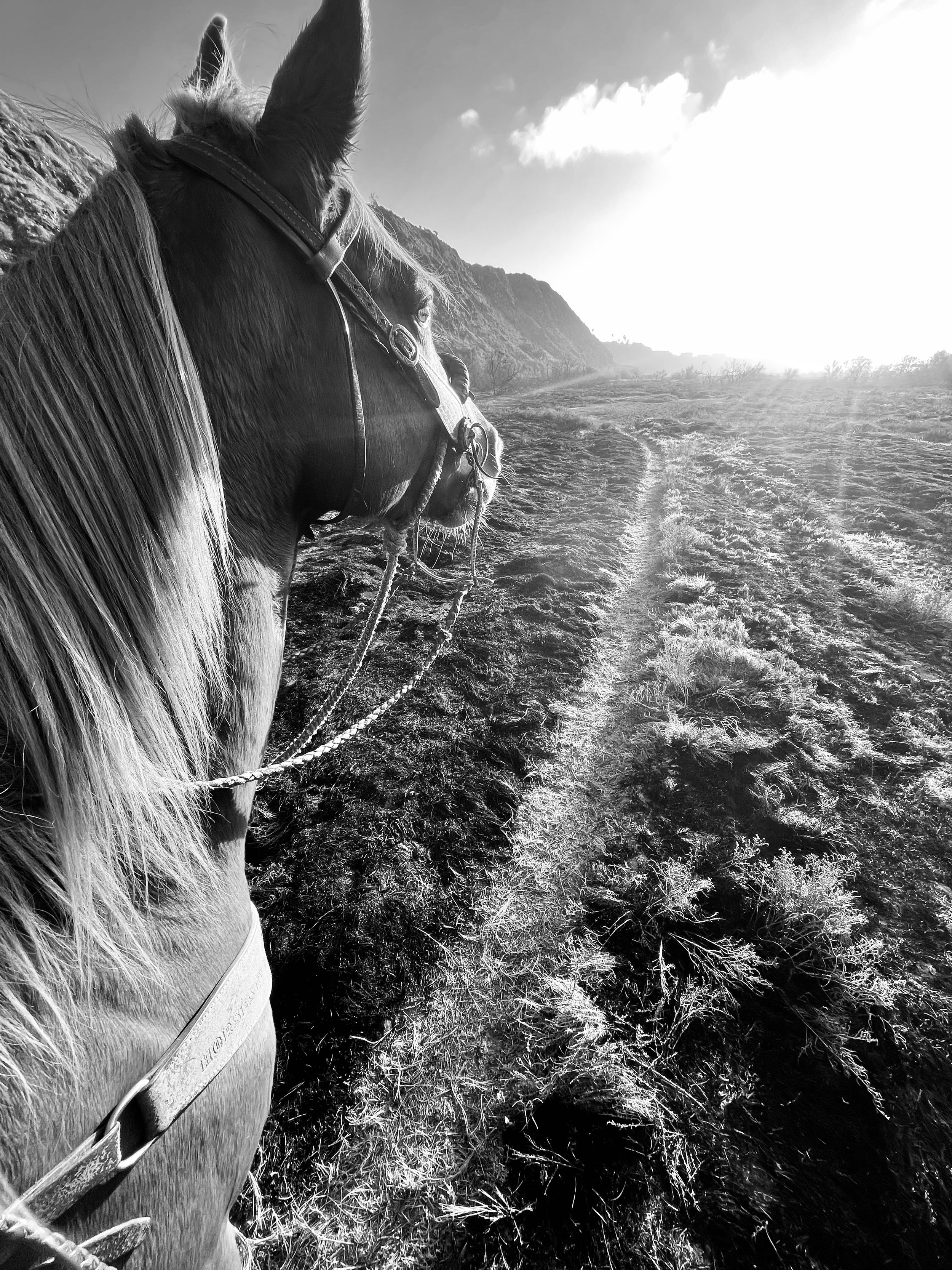 All Who Wander Are Not Lost (the induced meandering of calling)