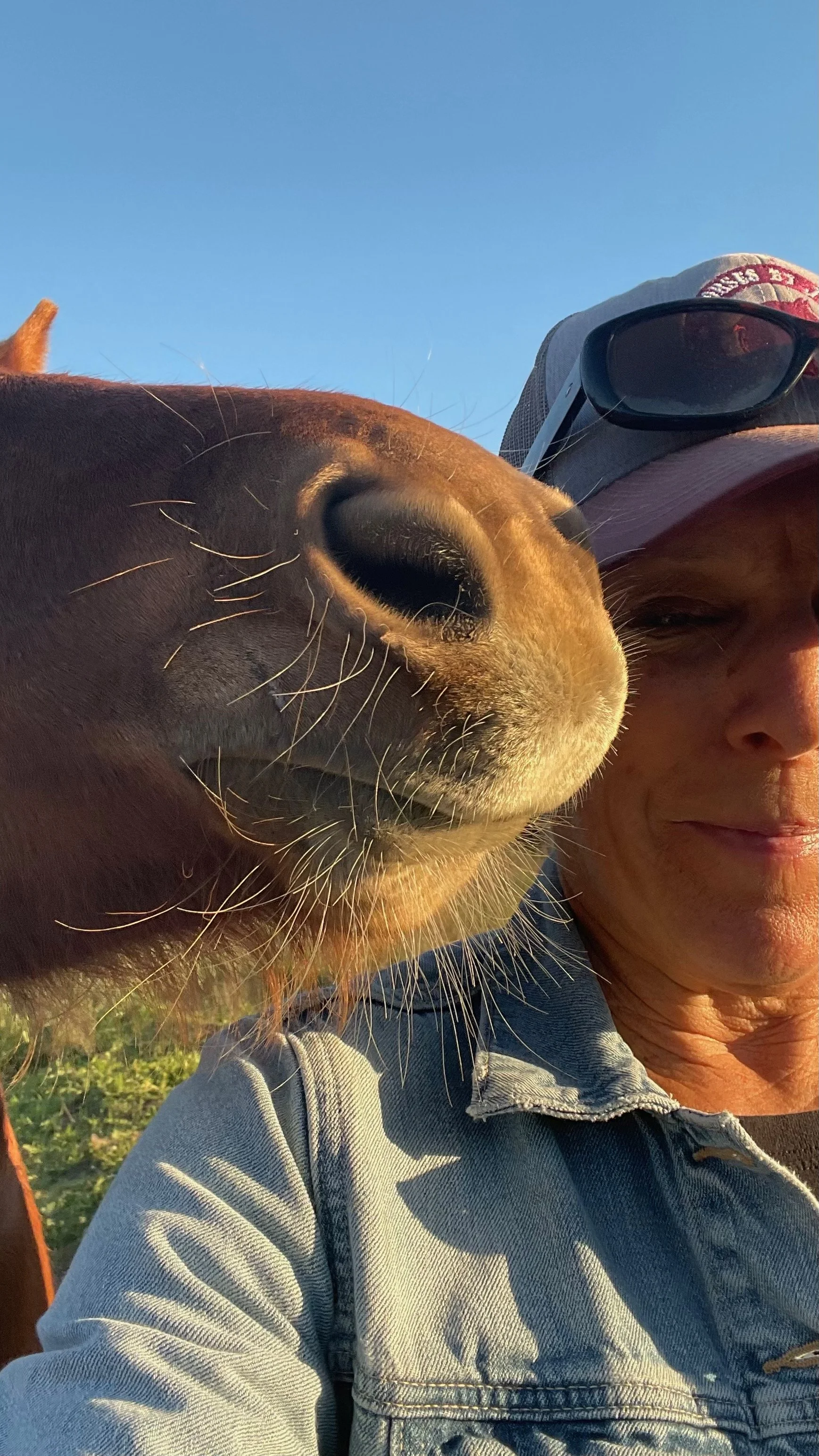 Stepping Aside and Doing Something More Beautiful