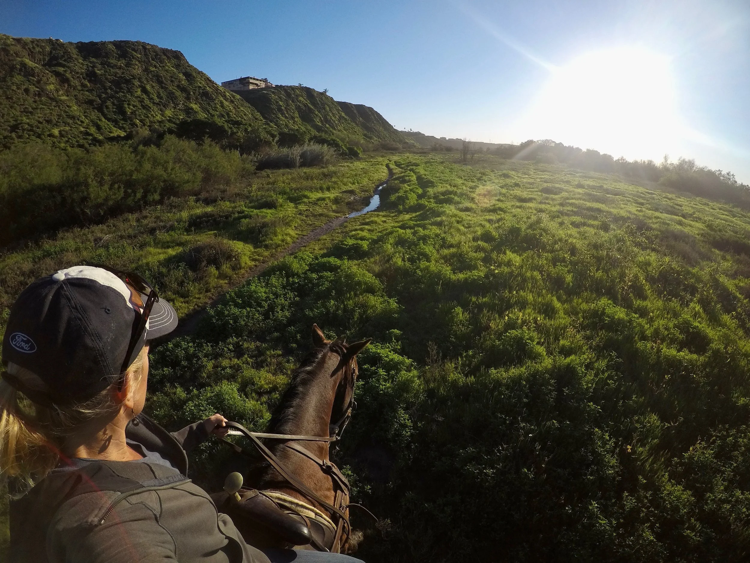 Be the Peanut Butter (finding your ground when the world spikes)