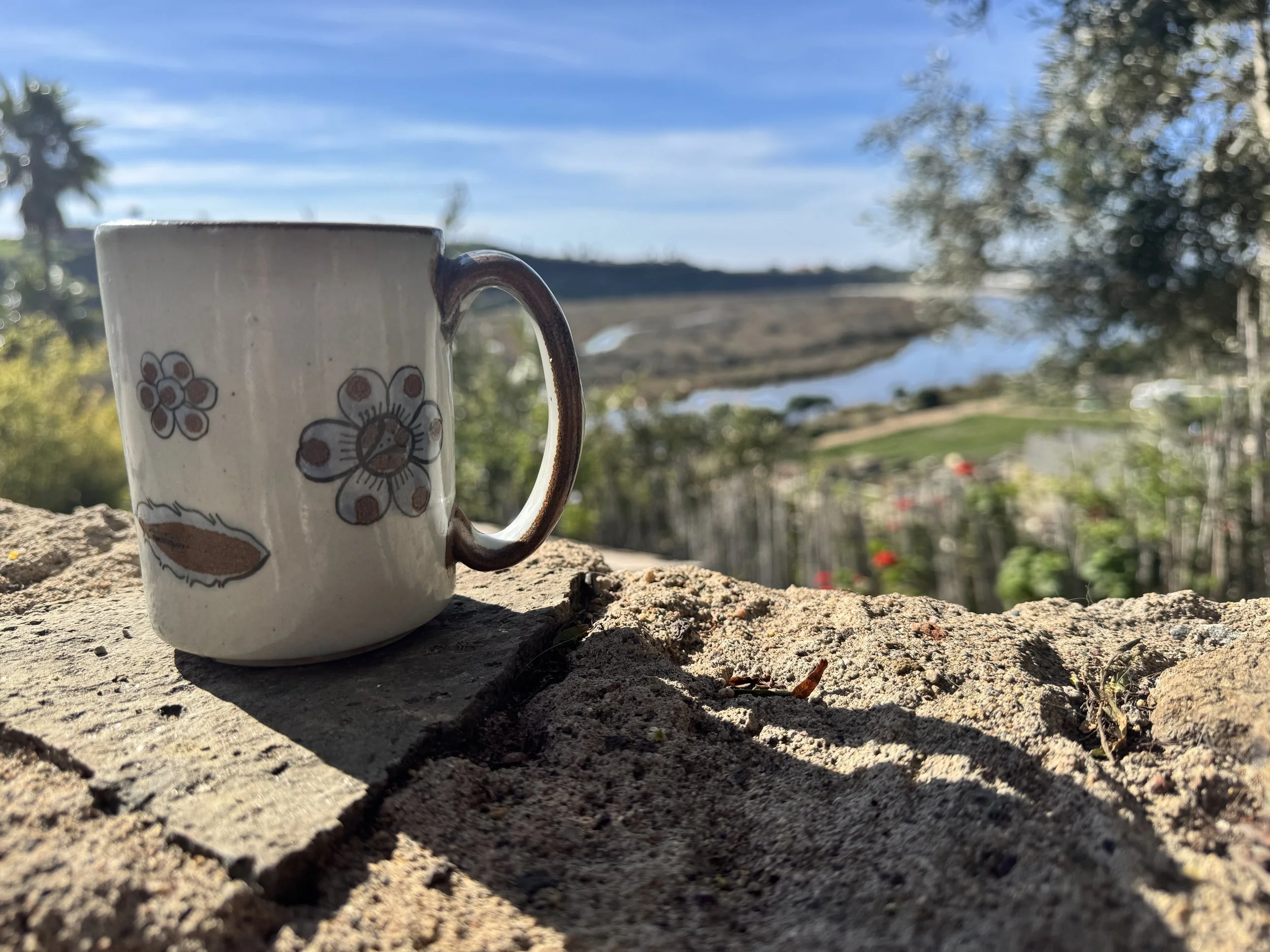 What If Doing Nothing is Actually Doing Something? 