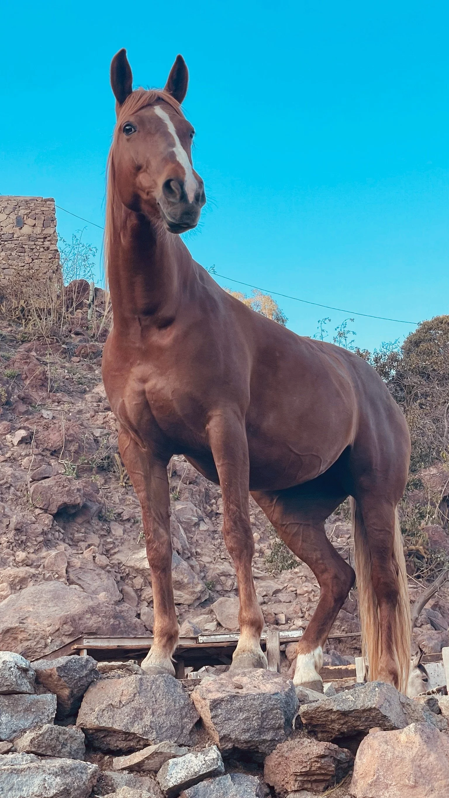 Raising Your Energy (Taking Up Space)