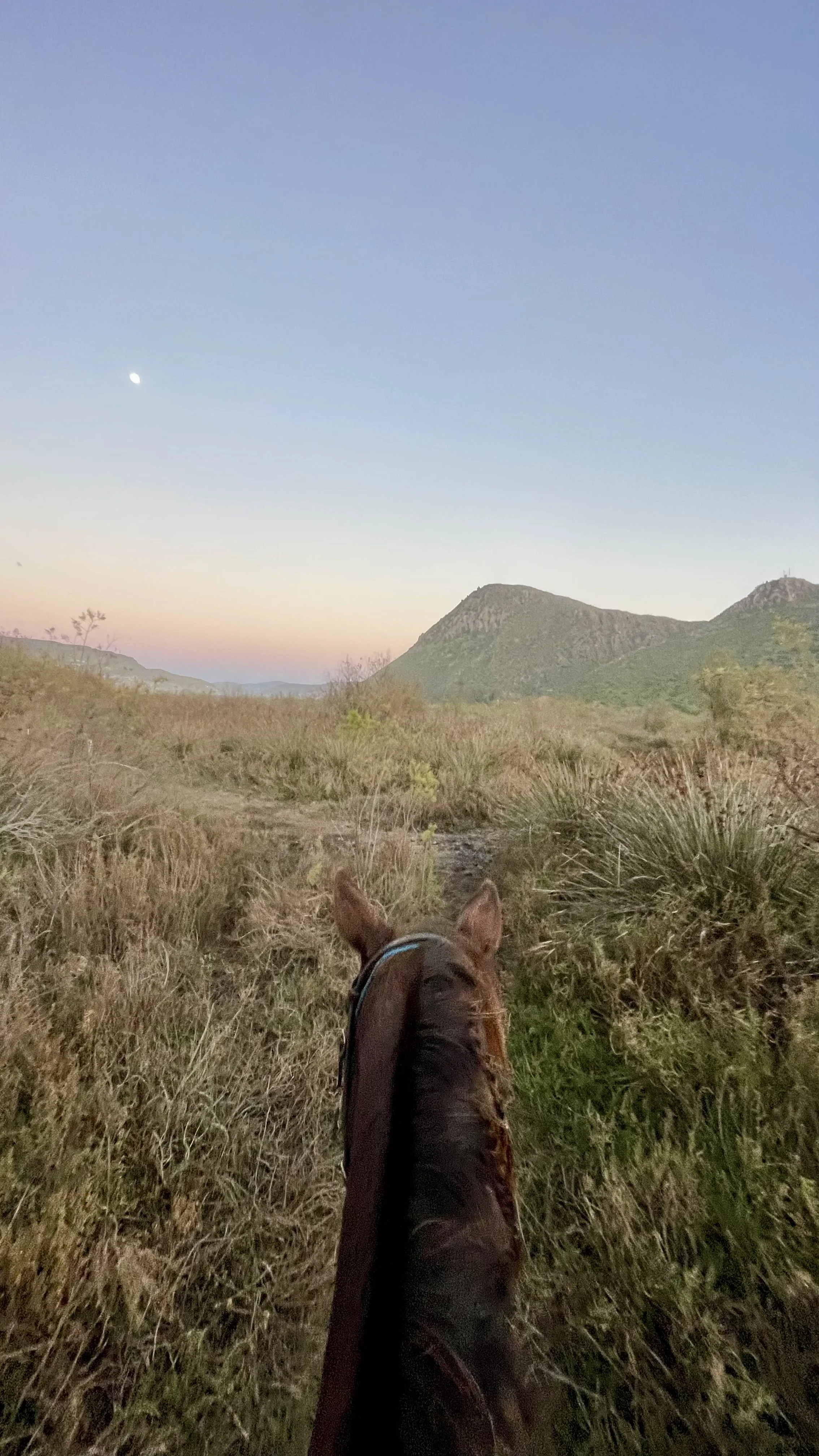 Building the Muscles of Agency